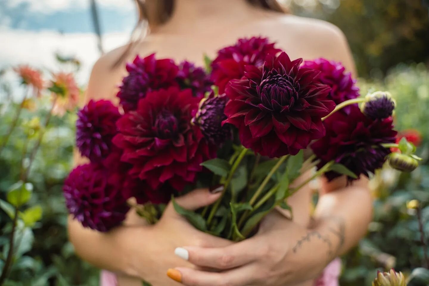 Me and my beautiful wife and I had the opportunity to work with @lavenderandlocksfarm to take some awesome photos and videos in their Dahlia fields!