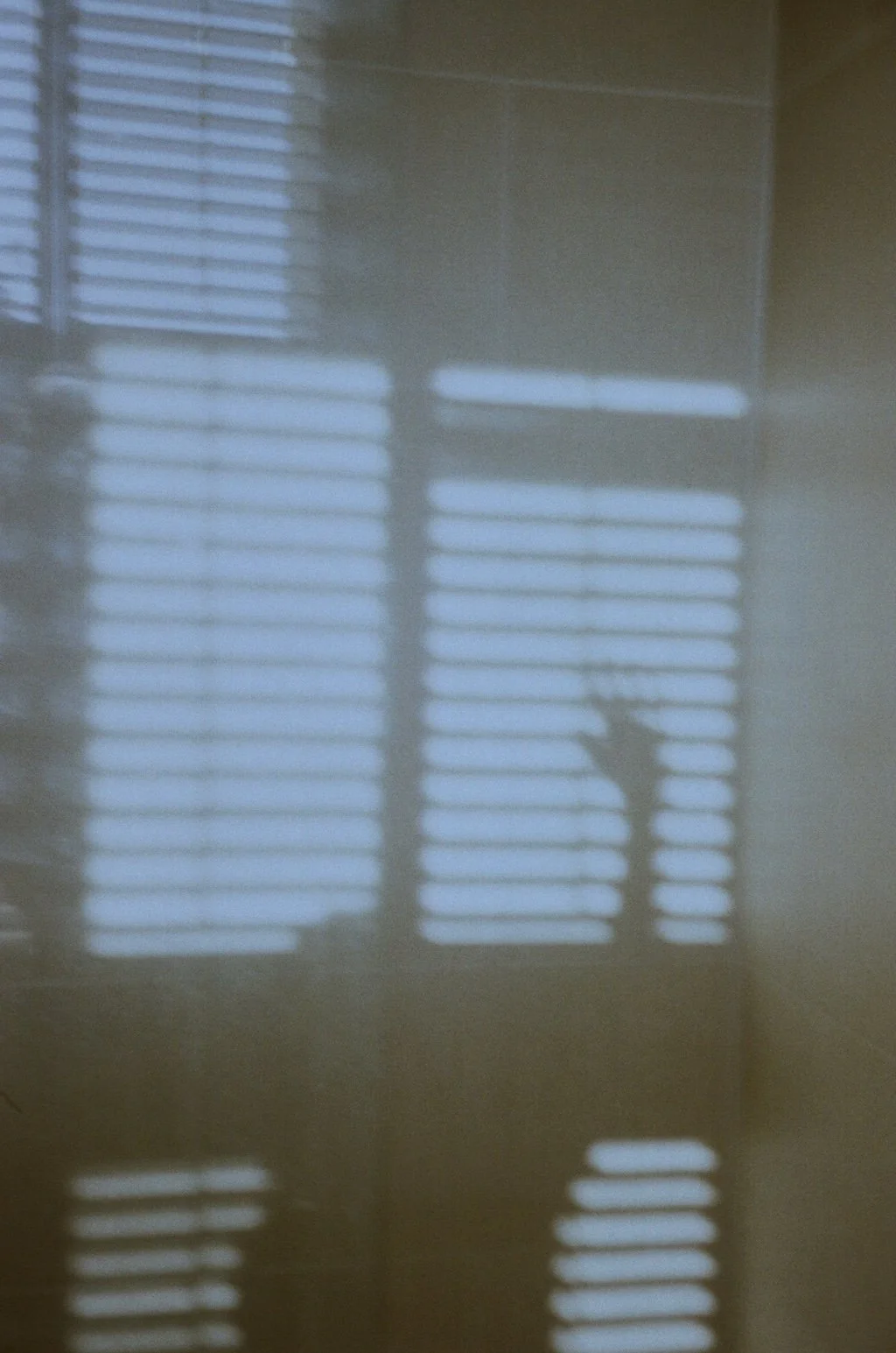 Shutters in Sicily, 2020