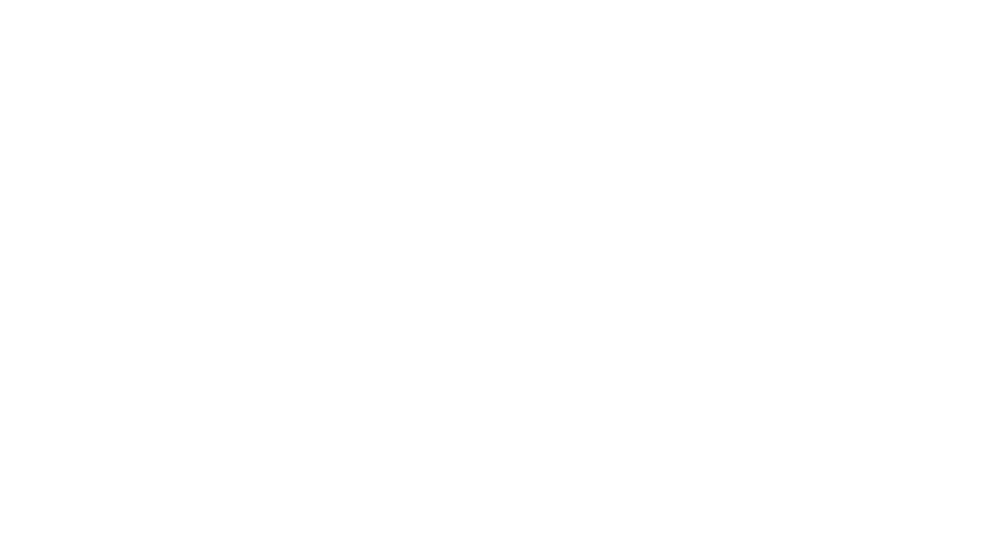 Eviva.png