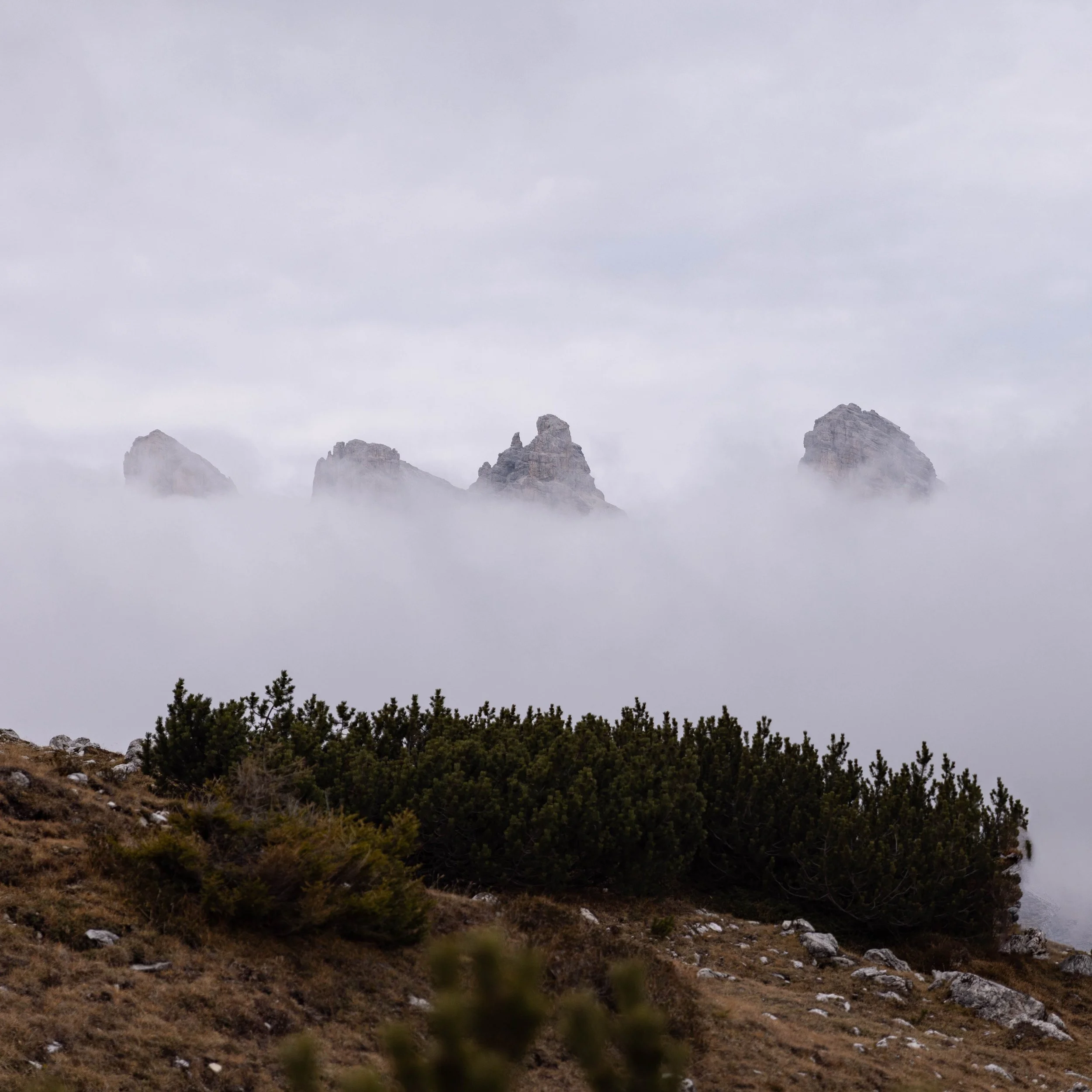 Dolomites_LQ_Yanak Lopez-82.jpg