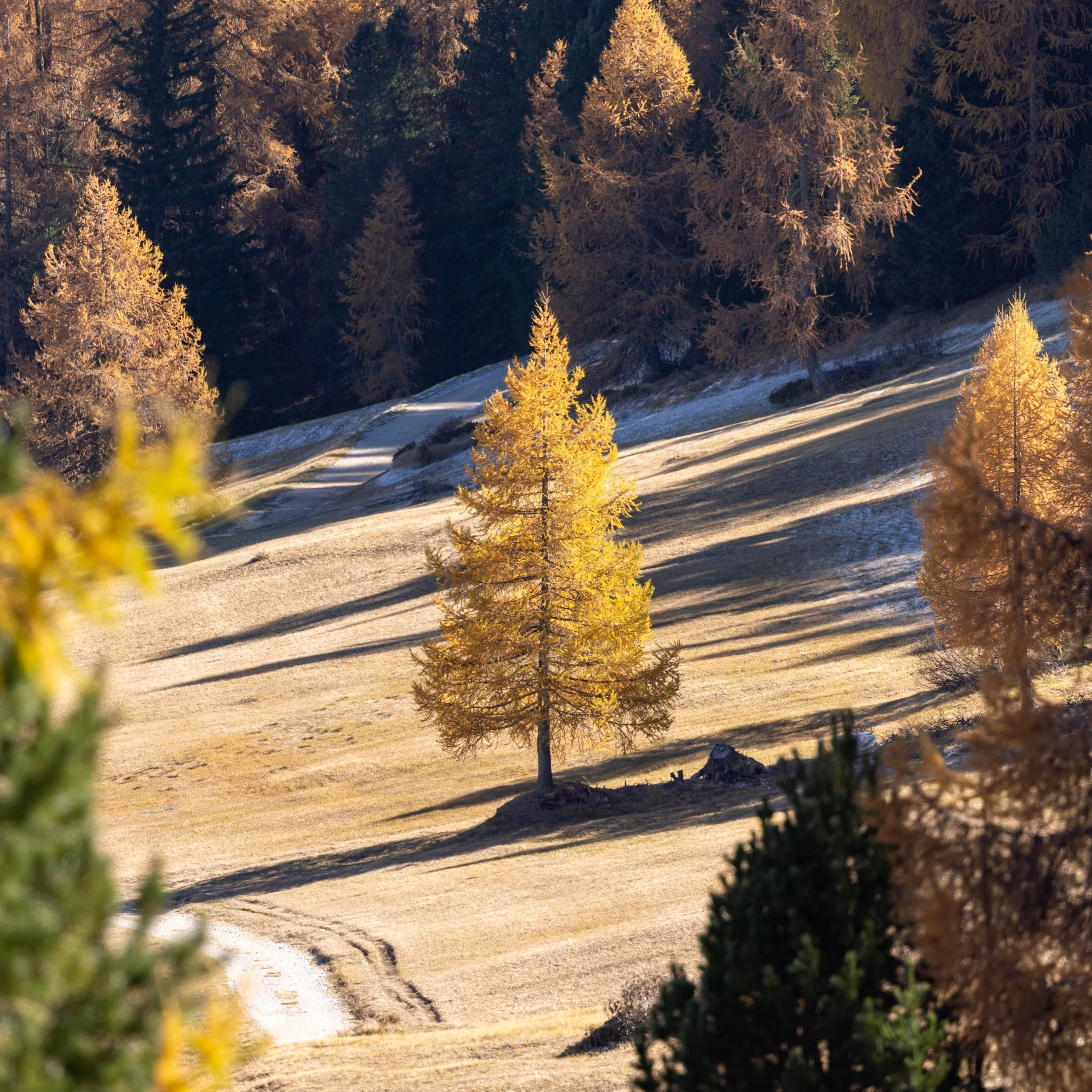 Dolomites_HQ_Yanak Lopez-21.jpg