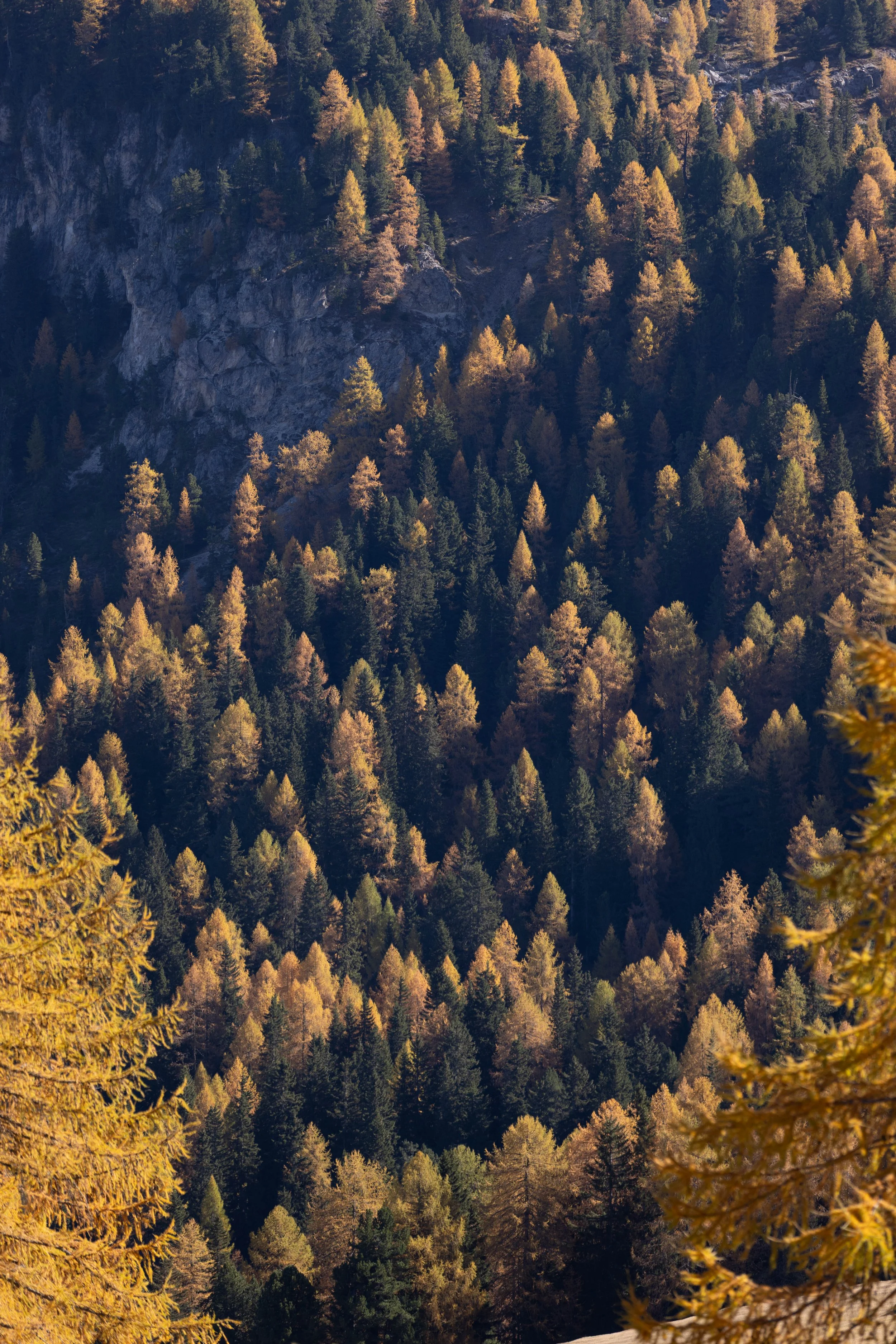 Dolomites_HQ_Yanak Lopez-20.jpg