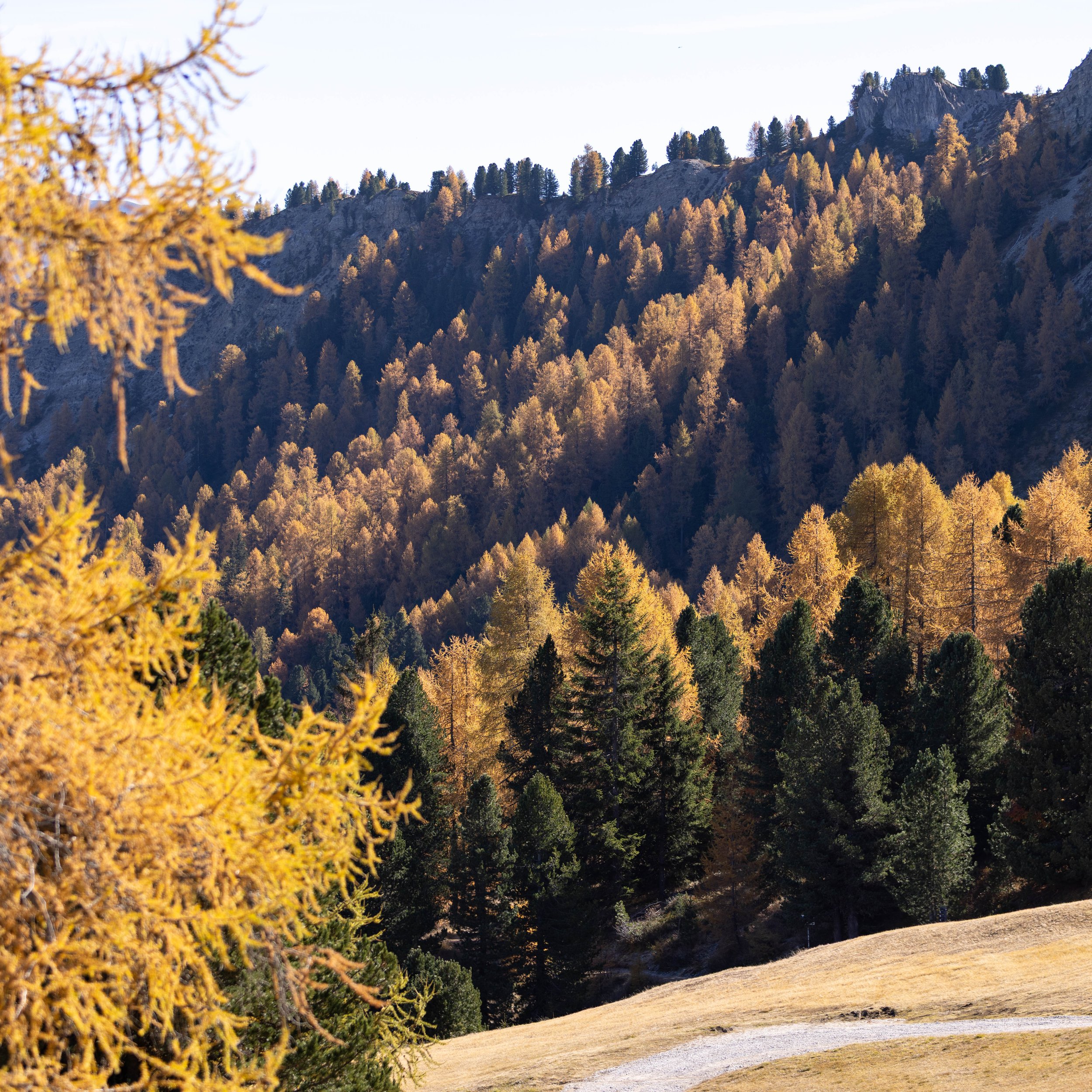 Dolomites_HQ_Yanak Lopez-17.jpg