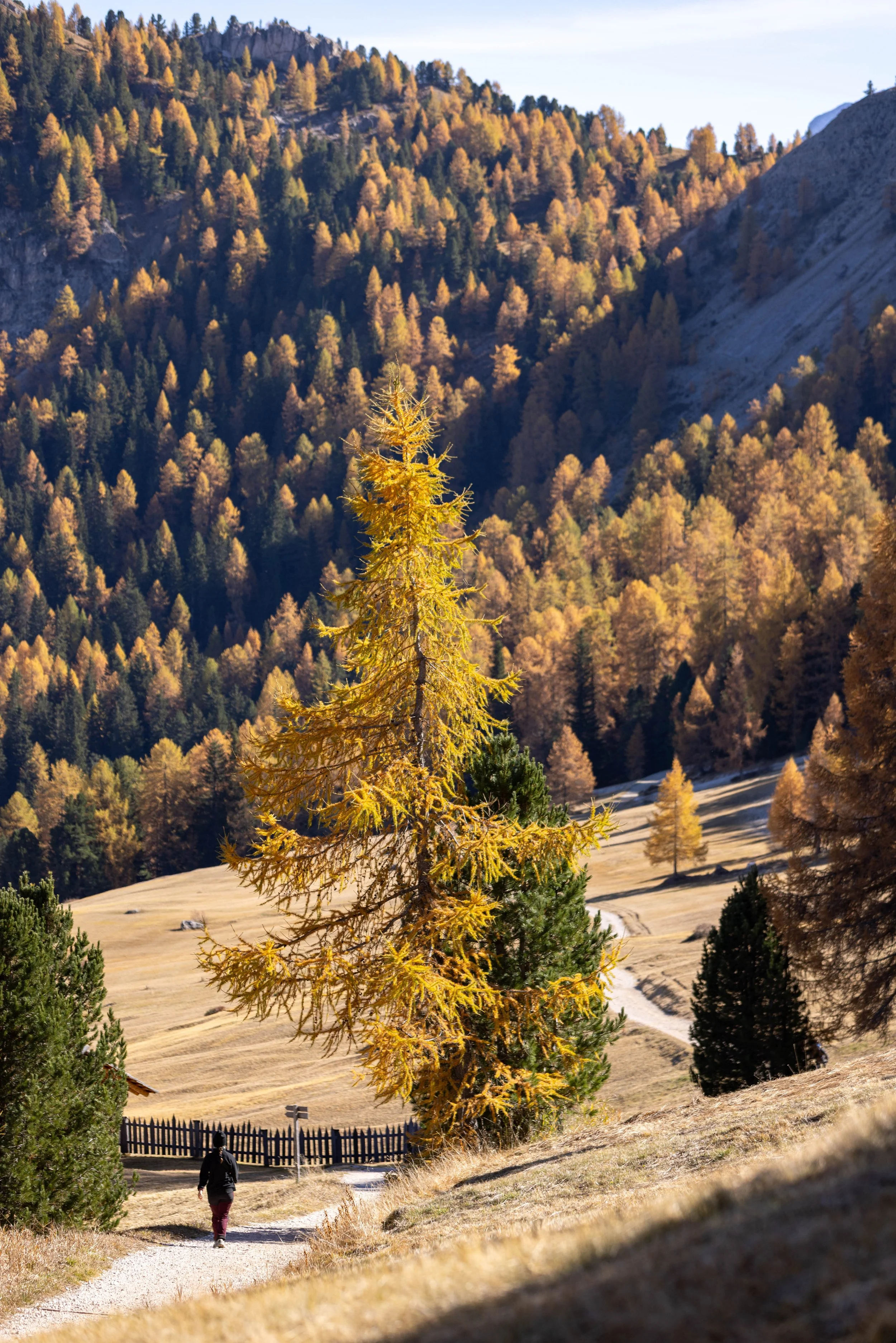 Dolomites_HQ_Yanak Lopez-19.jpg