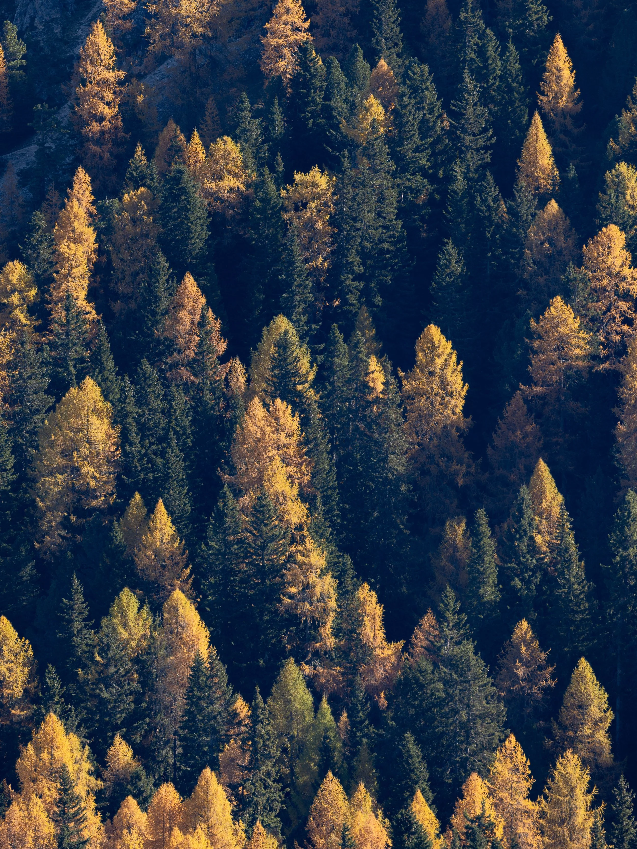 Dolomites_HQ_Yanak Lopez-23.jpg