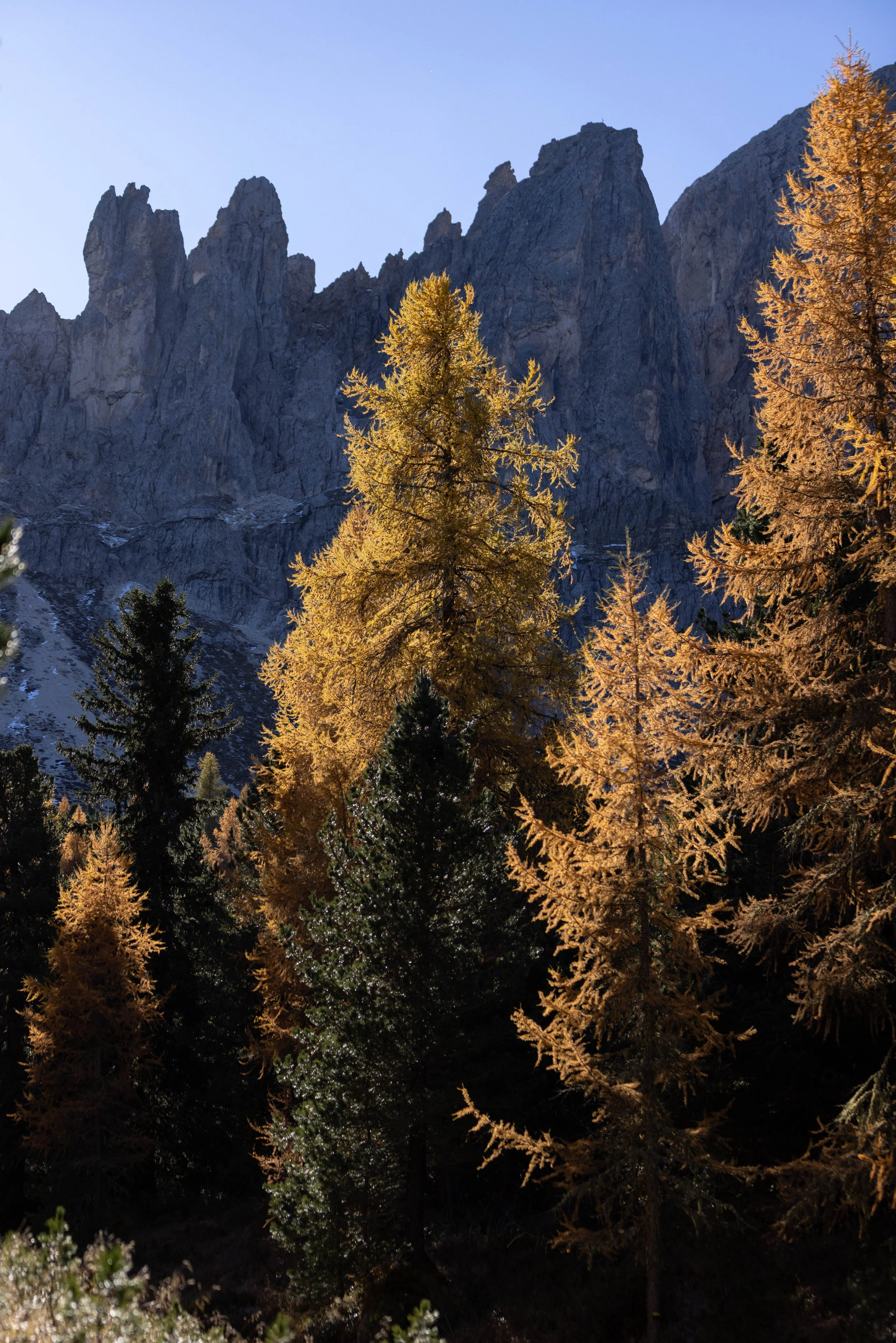 Dolomites_HQ_Yanak Lopez-16.jpg