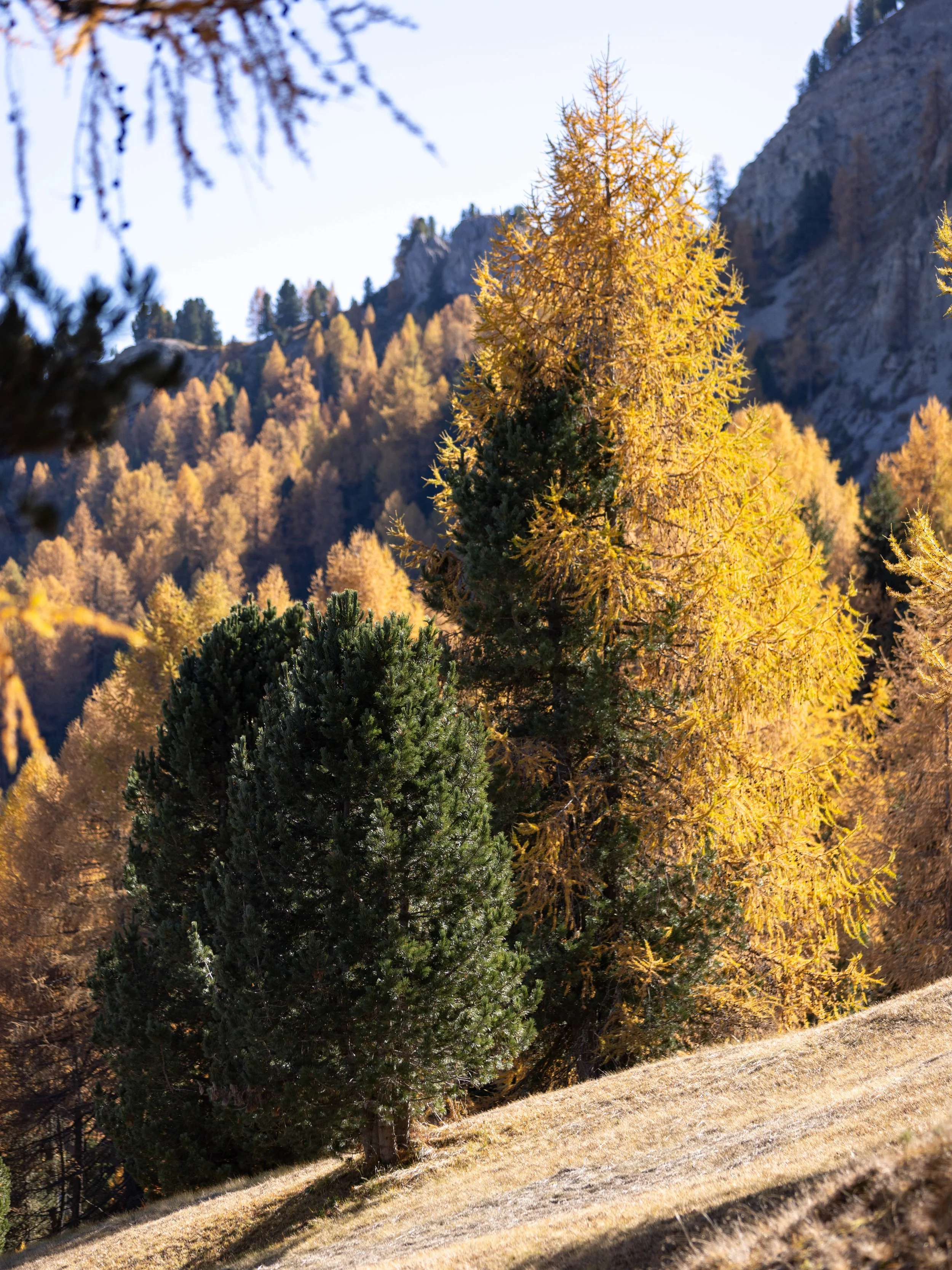 Dolomites_HQ_Yanak Lopez-18.jpg