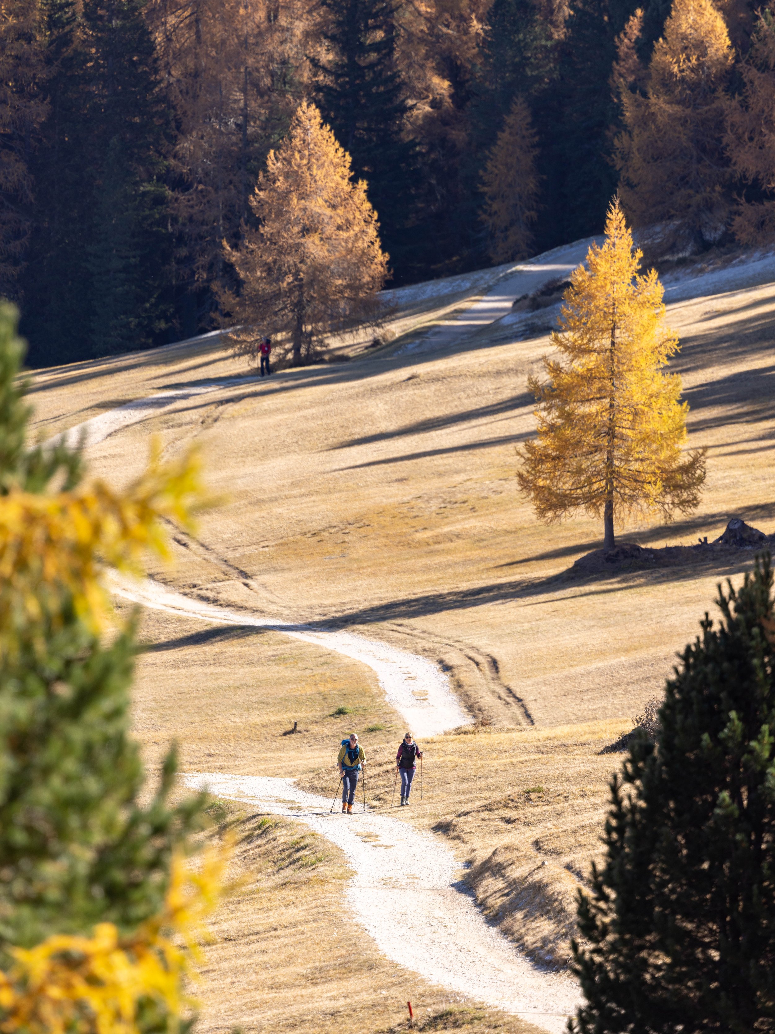Dolomites_HQ_Yanak Lopez-26.jpg
