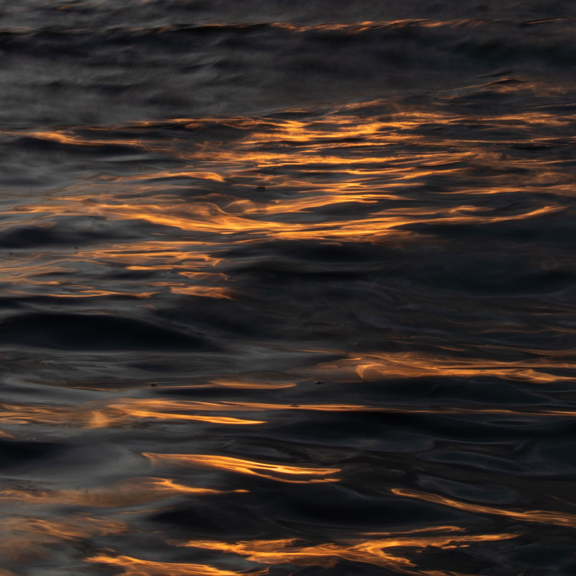 Lake Leman Sunset Movements