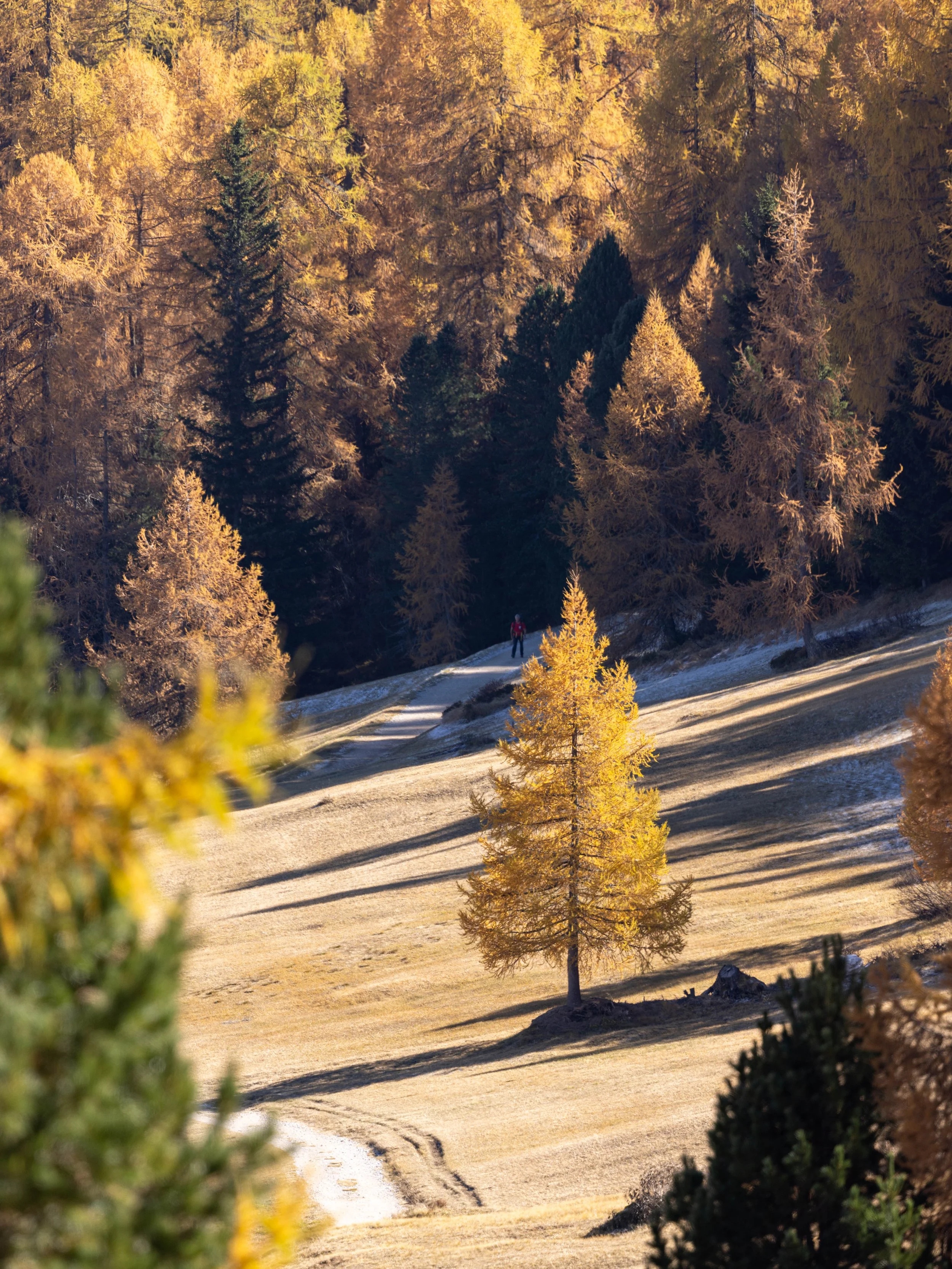 Dolomites_HQ_Yanak Lopez-22.jpg