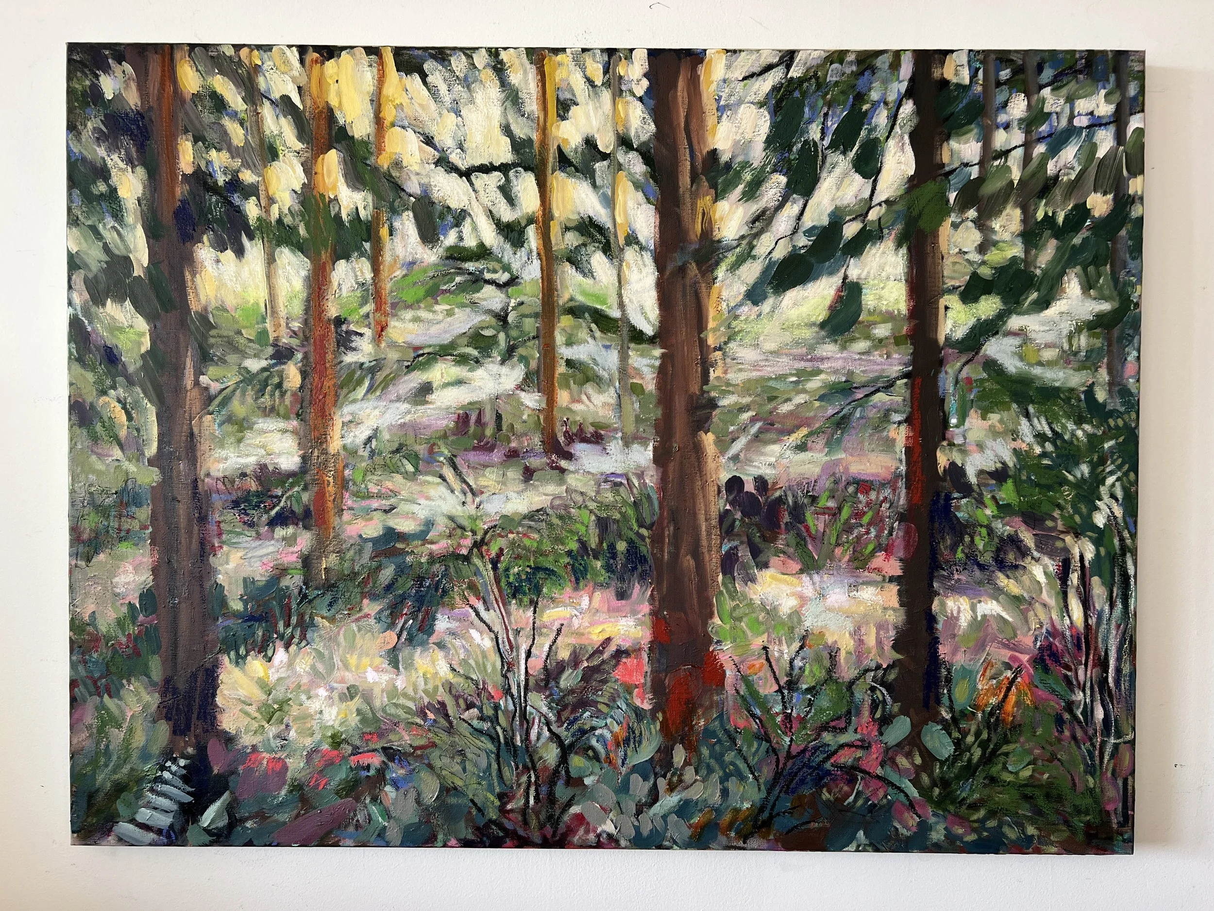 Forest Study | Oil on Canvas, 36 by 48 inches (at Avenue Gallery)