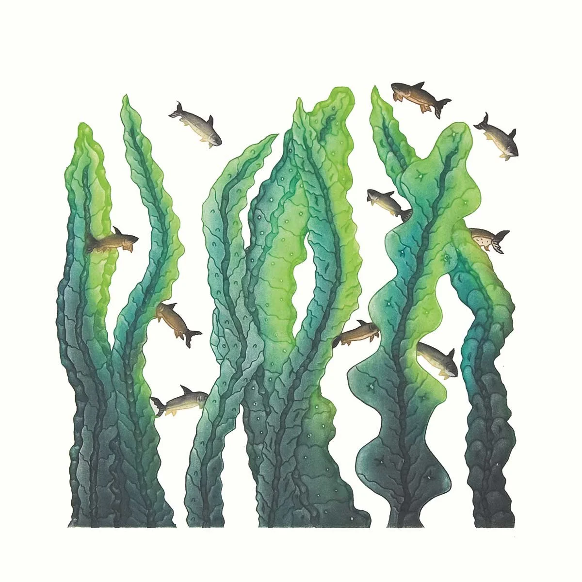 Art Print: Kelp Garden by Cee Pootoogook