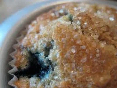 THE BEST BLUEBERRY MUFFINS