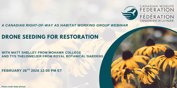 Drone Seeding for Restoration