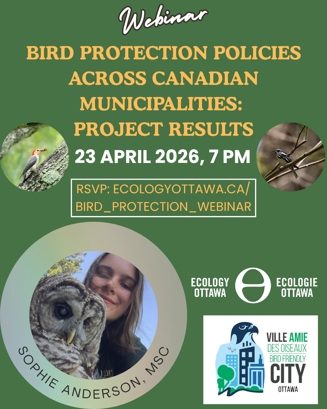Bird Protection Policies Webinar: Project Results