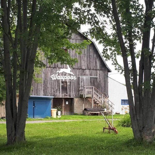 Rain Barrel Sale for Waupoos Family Farm