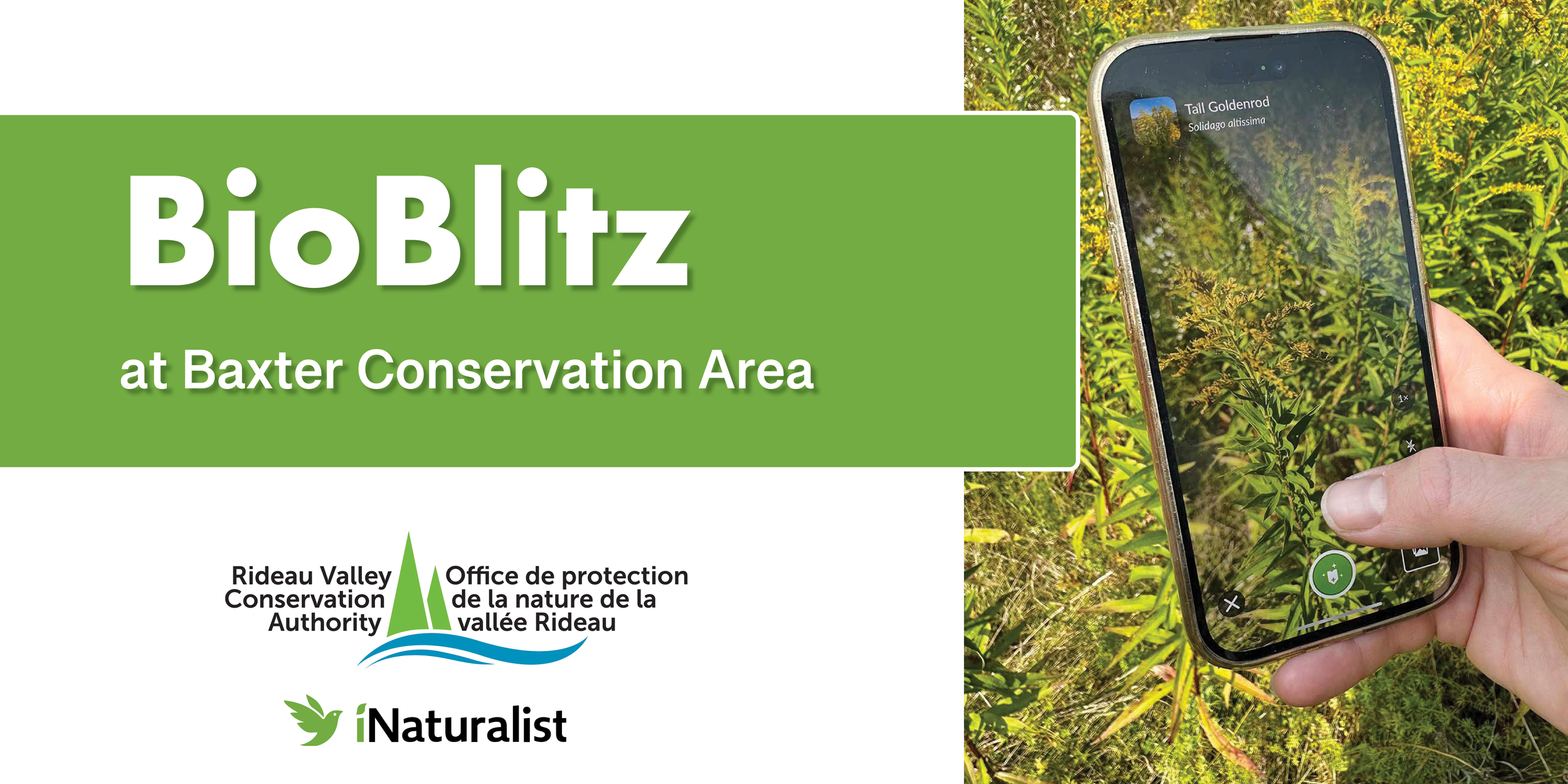 BioBlitz at the Baxter Conservation Area