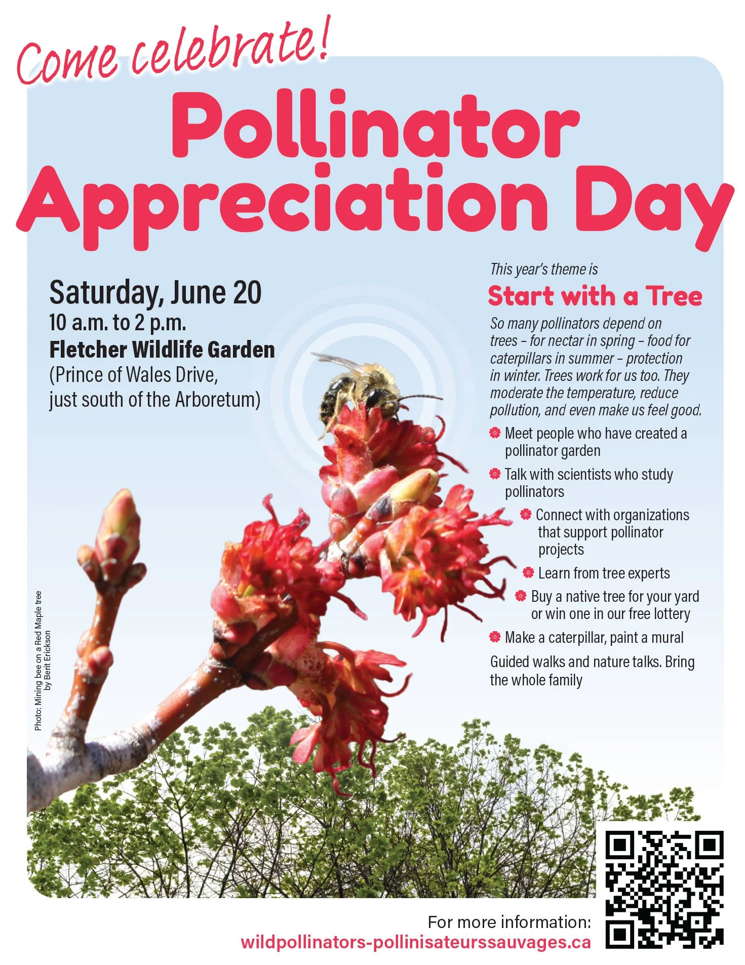 Pollinator Appreciation Day