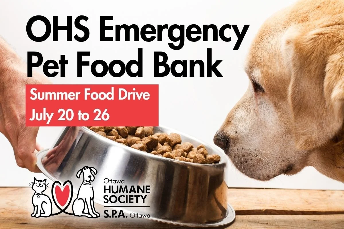 Ottawa Humane Society Summer Pet Food Drive