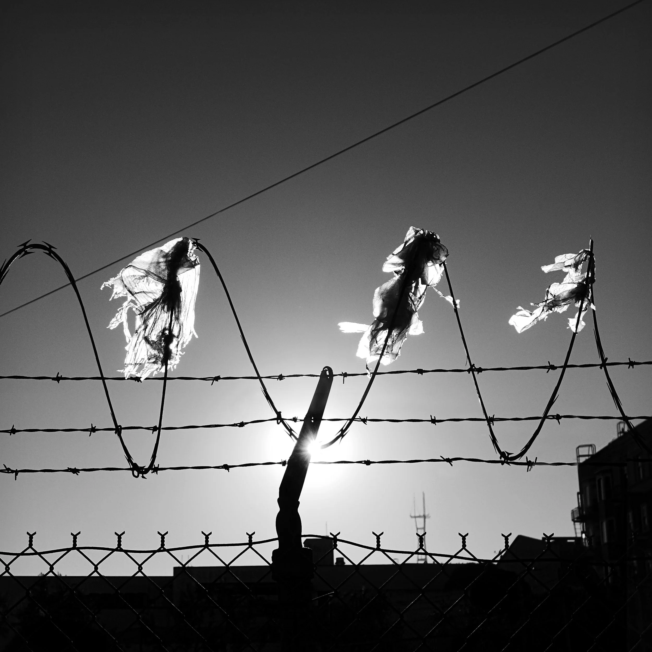 Crossing the Border at Night