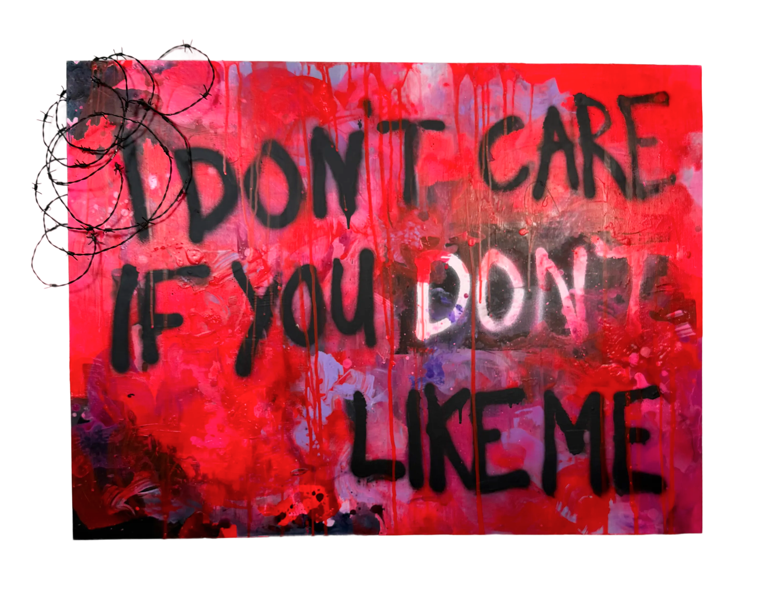 AskewErin.Idon'tCareIfYouDontLikeMe30x40x2.5acrylicCanvasBoardbarbedwire.png