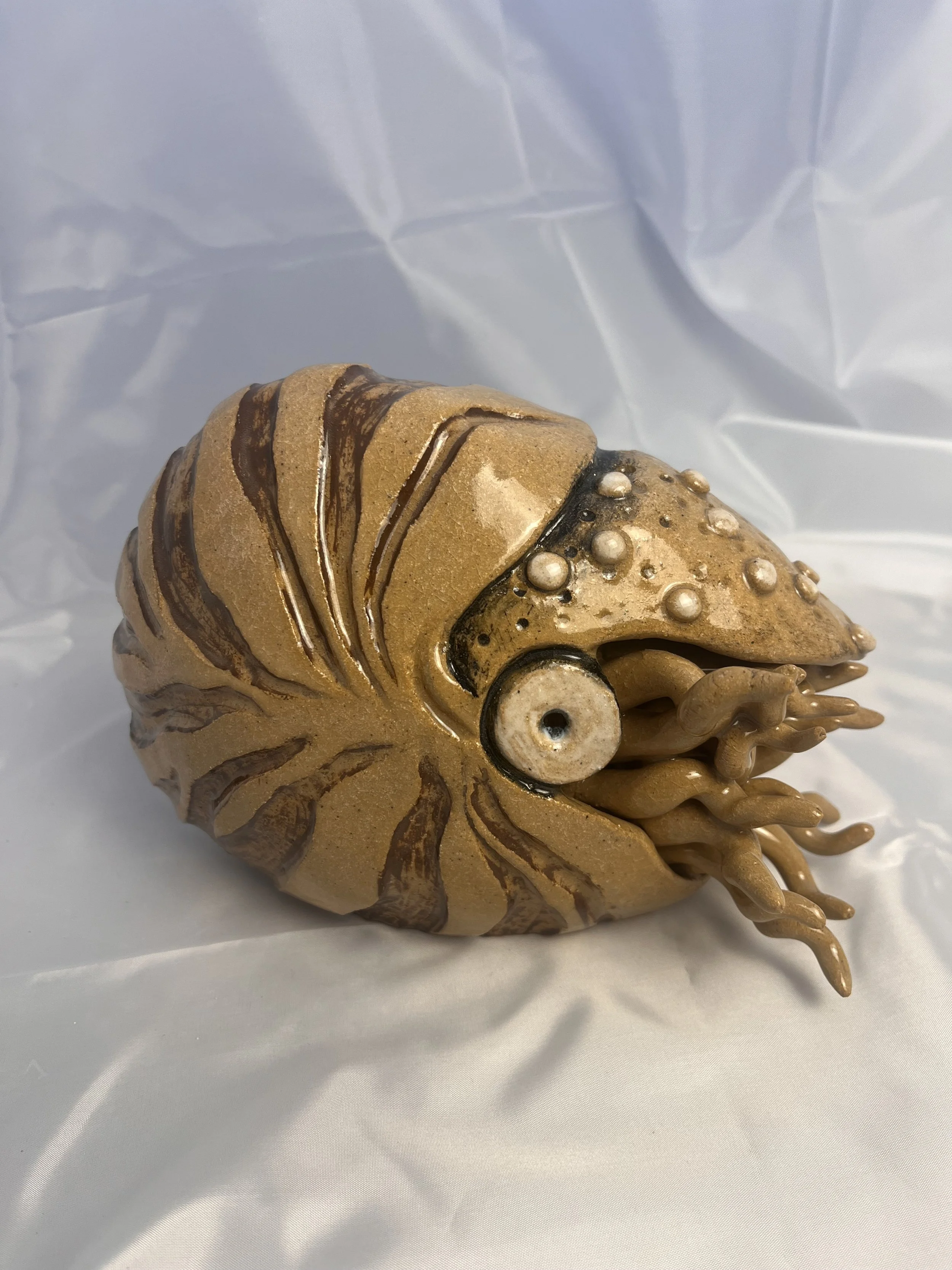 Vera+Umansky.Nautilus.$400.9_22x6.5_22x4_22.jpeg