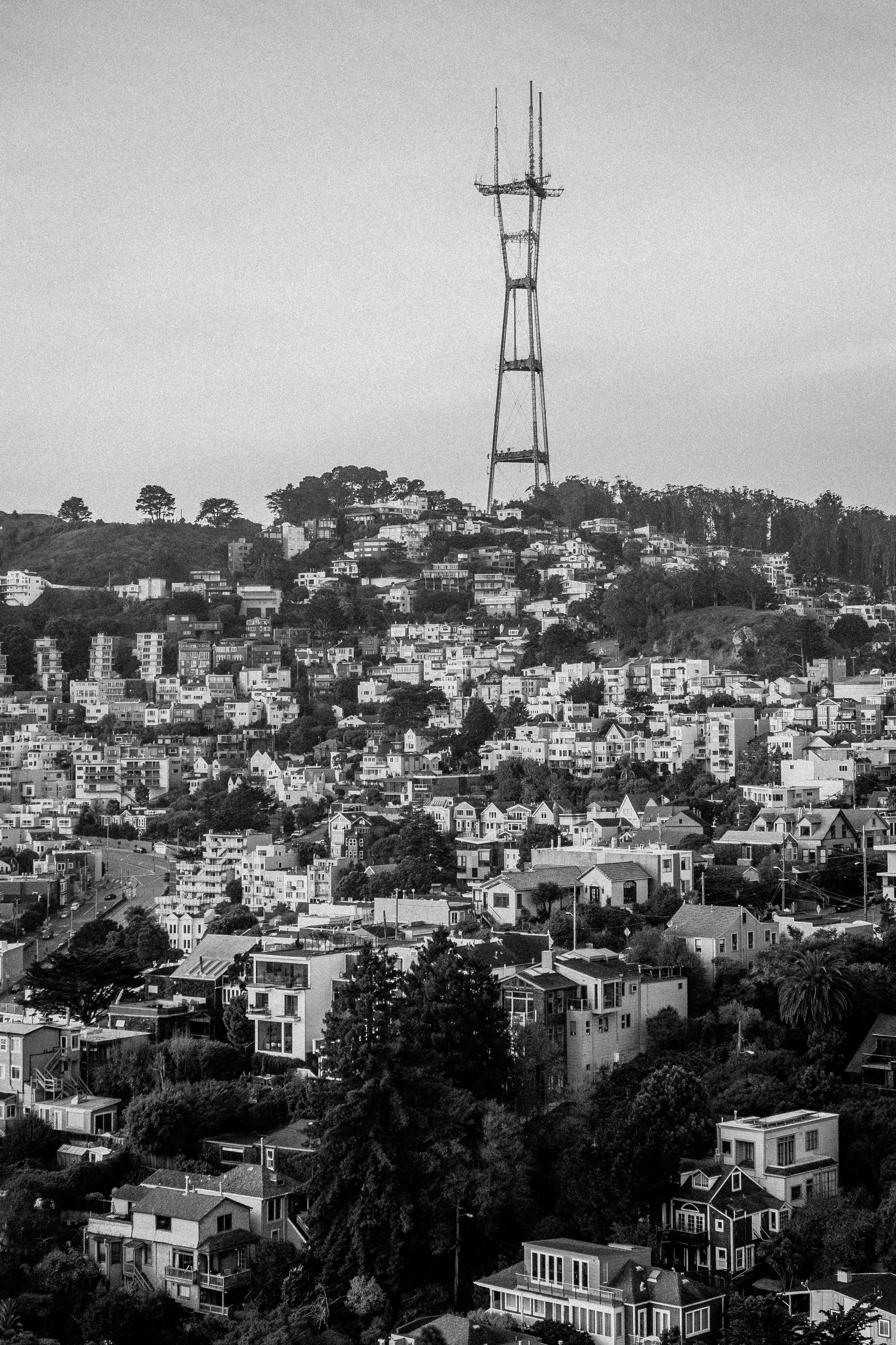 zwhite_untitled_18x22_200 1.jpg