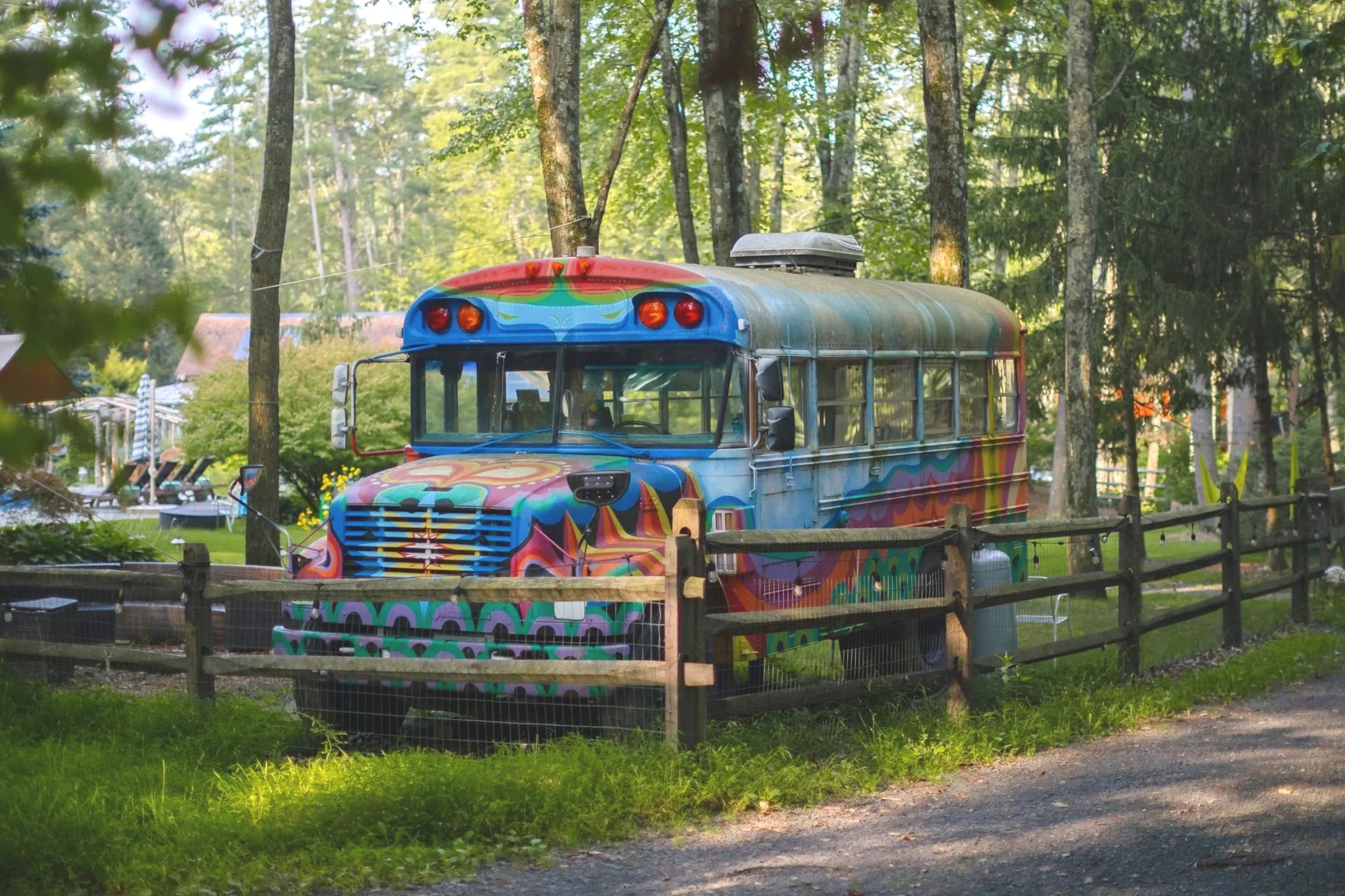 Bus.jpg