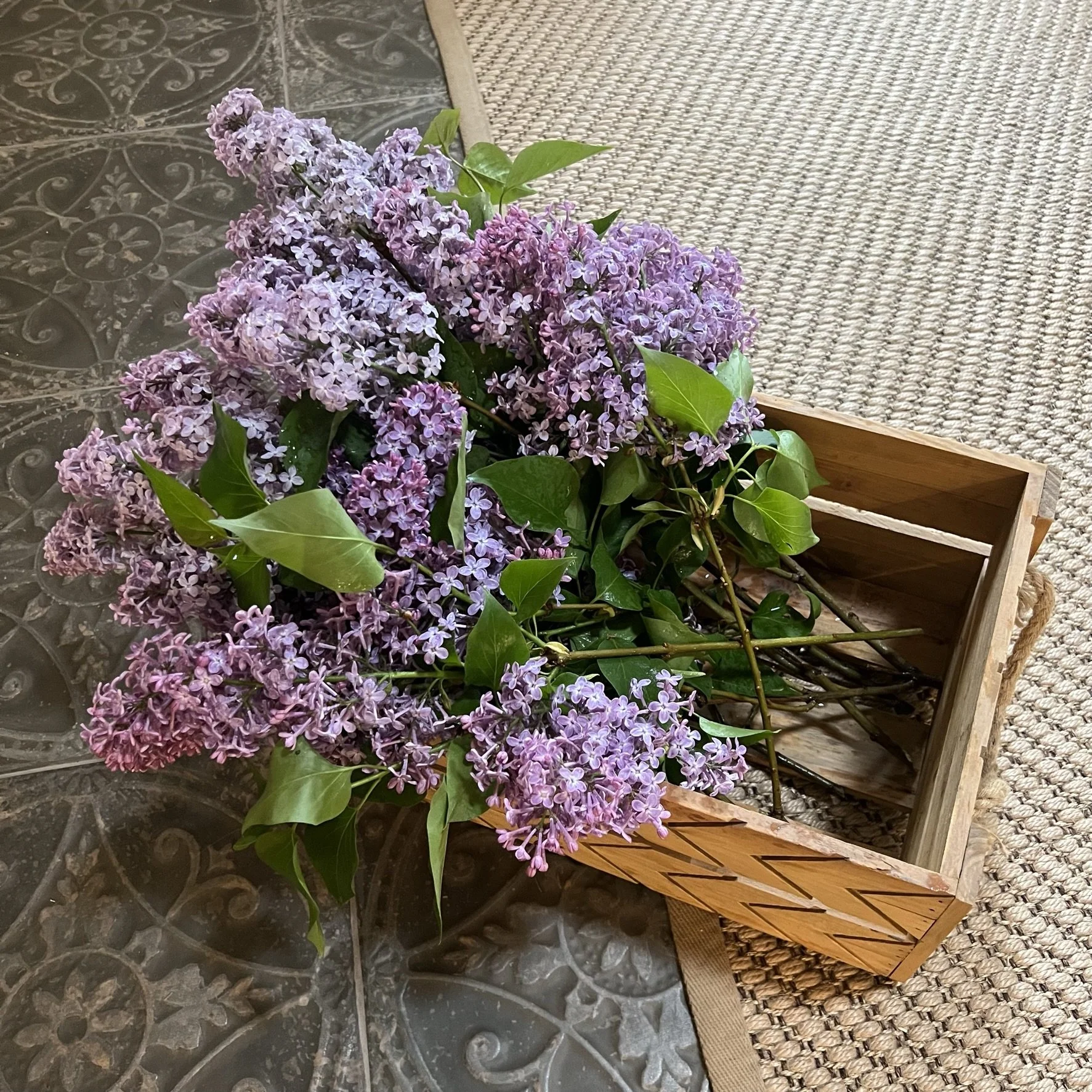 Bundle of lilac flowers in a wooden crate on a patterned rug