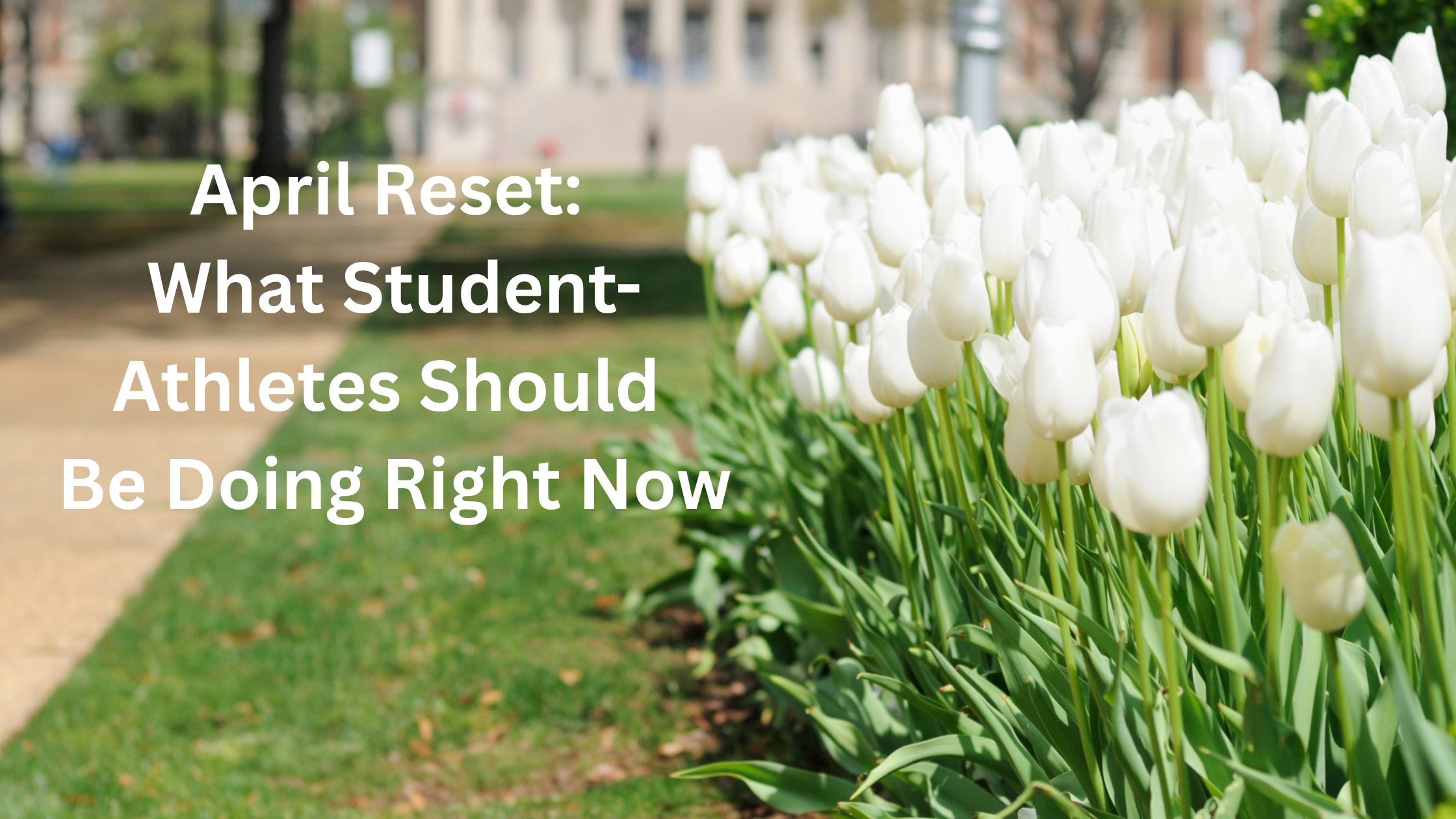 April Reset: What Student-Athletes Should Be Doing Right Now