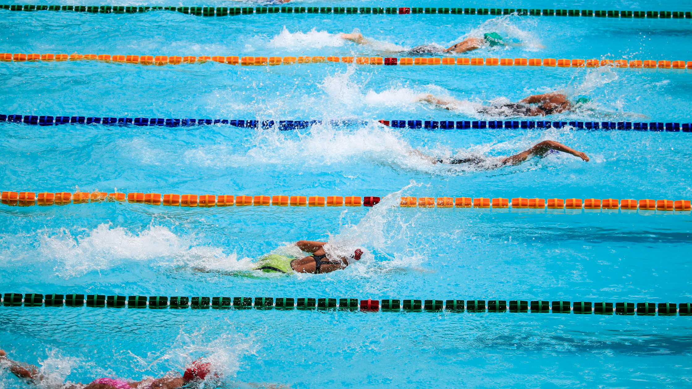 NEW Swimming &amp; Diving Recruiting Course