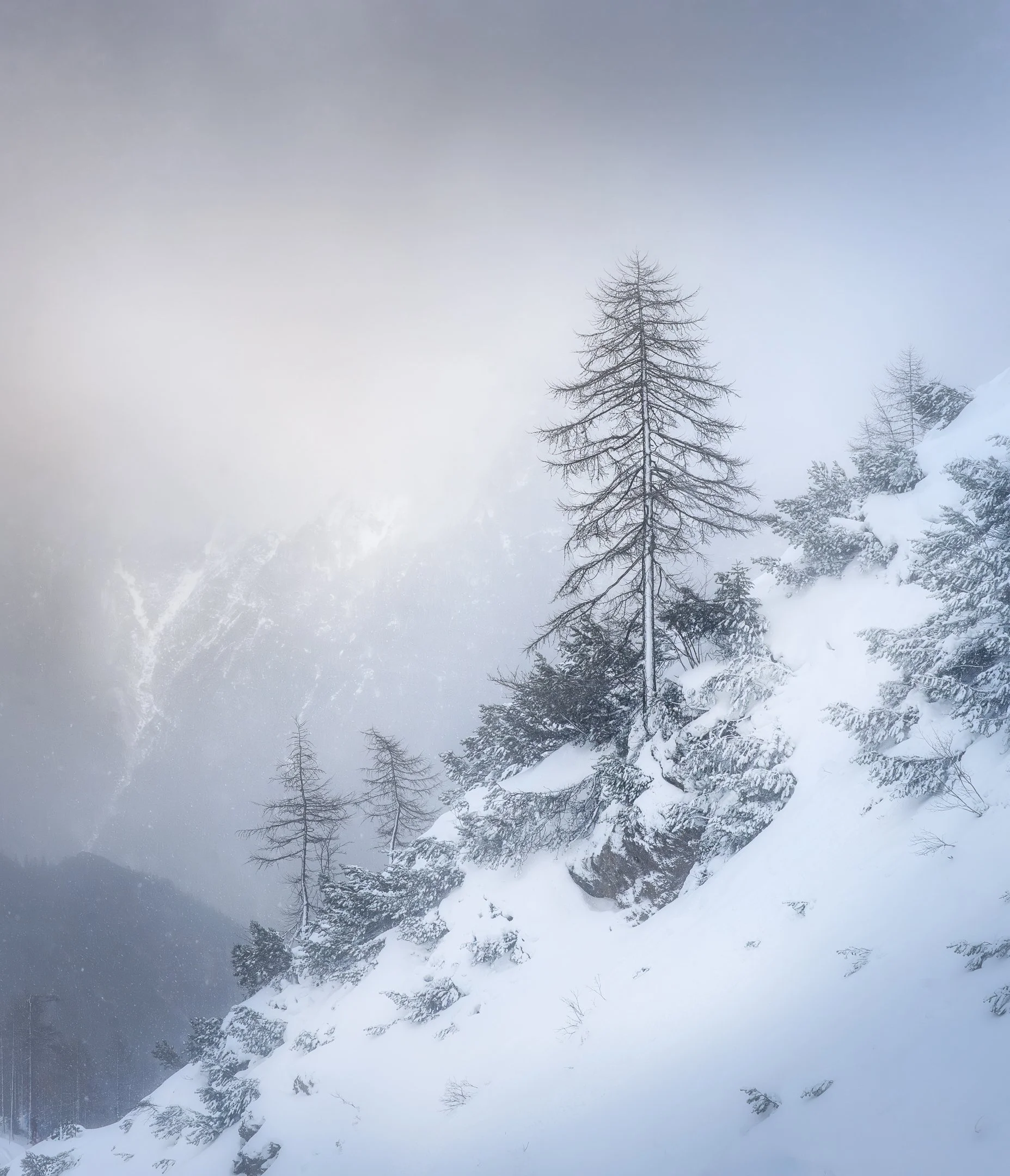 _DSC3660-Edit.jpg