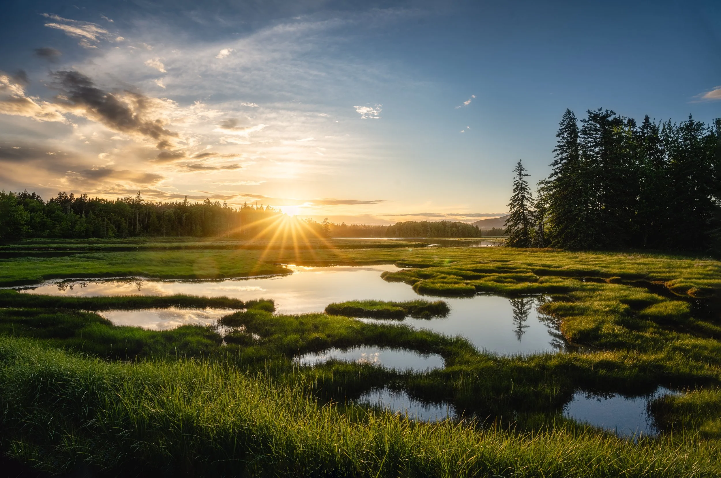 Bass Harbor Marsh.jpg