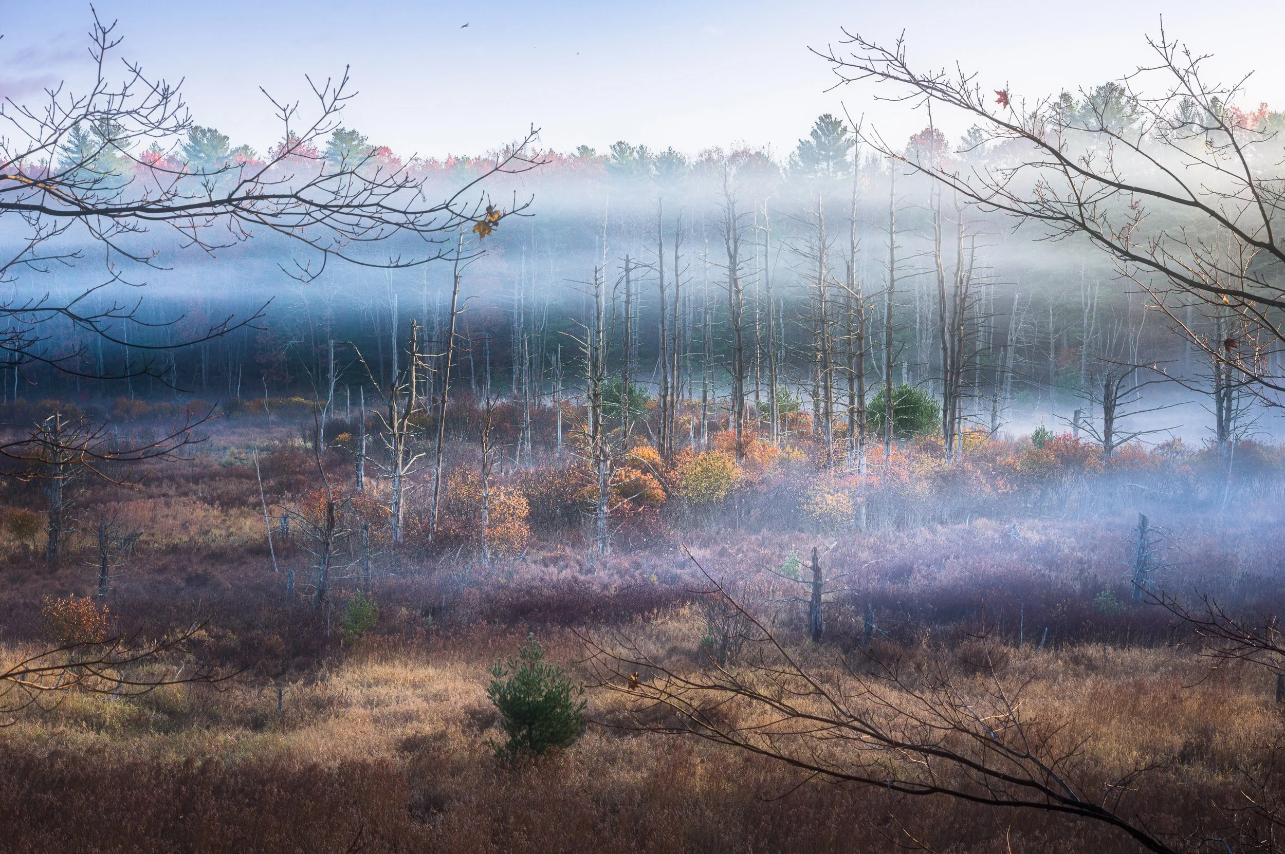 Misty Morning in Lancaster