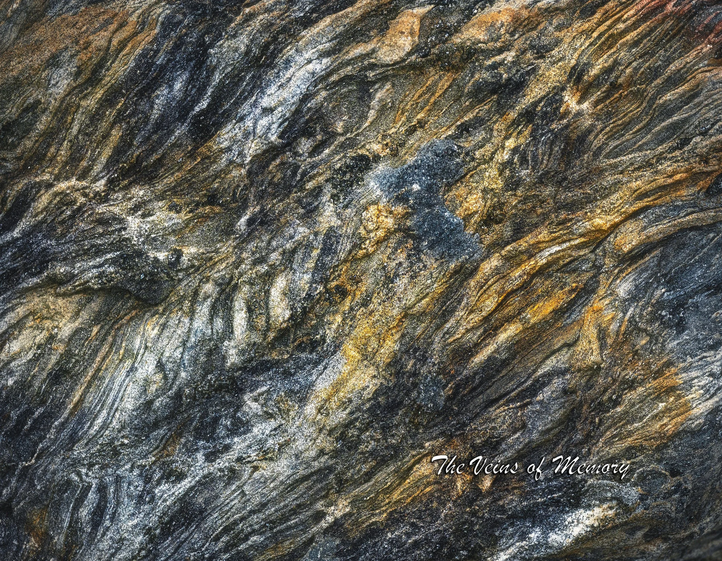 September the veins of memory.jpg