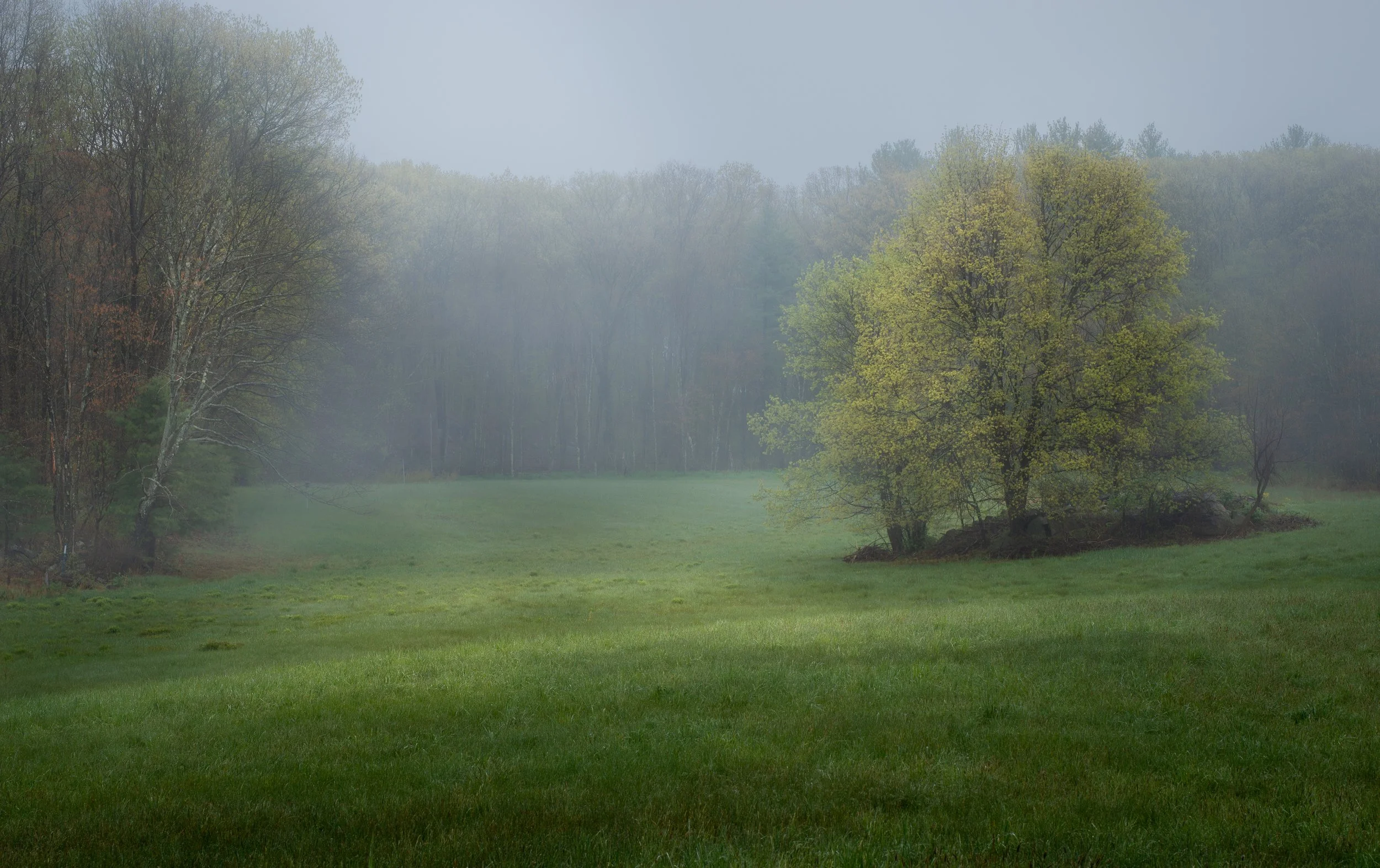 Morning at Rauscher Farm