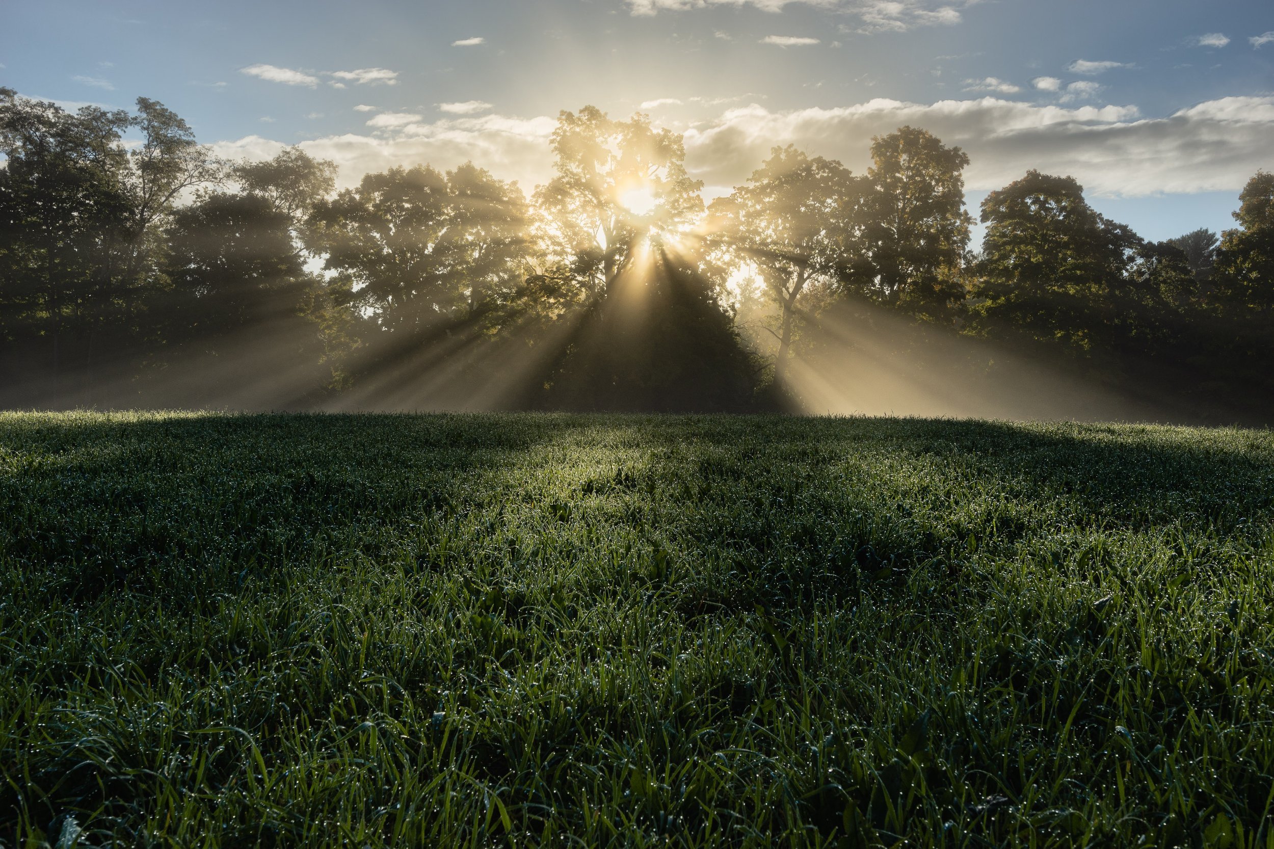 DSC07212-HDR-Edit.jpg