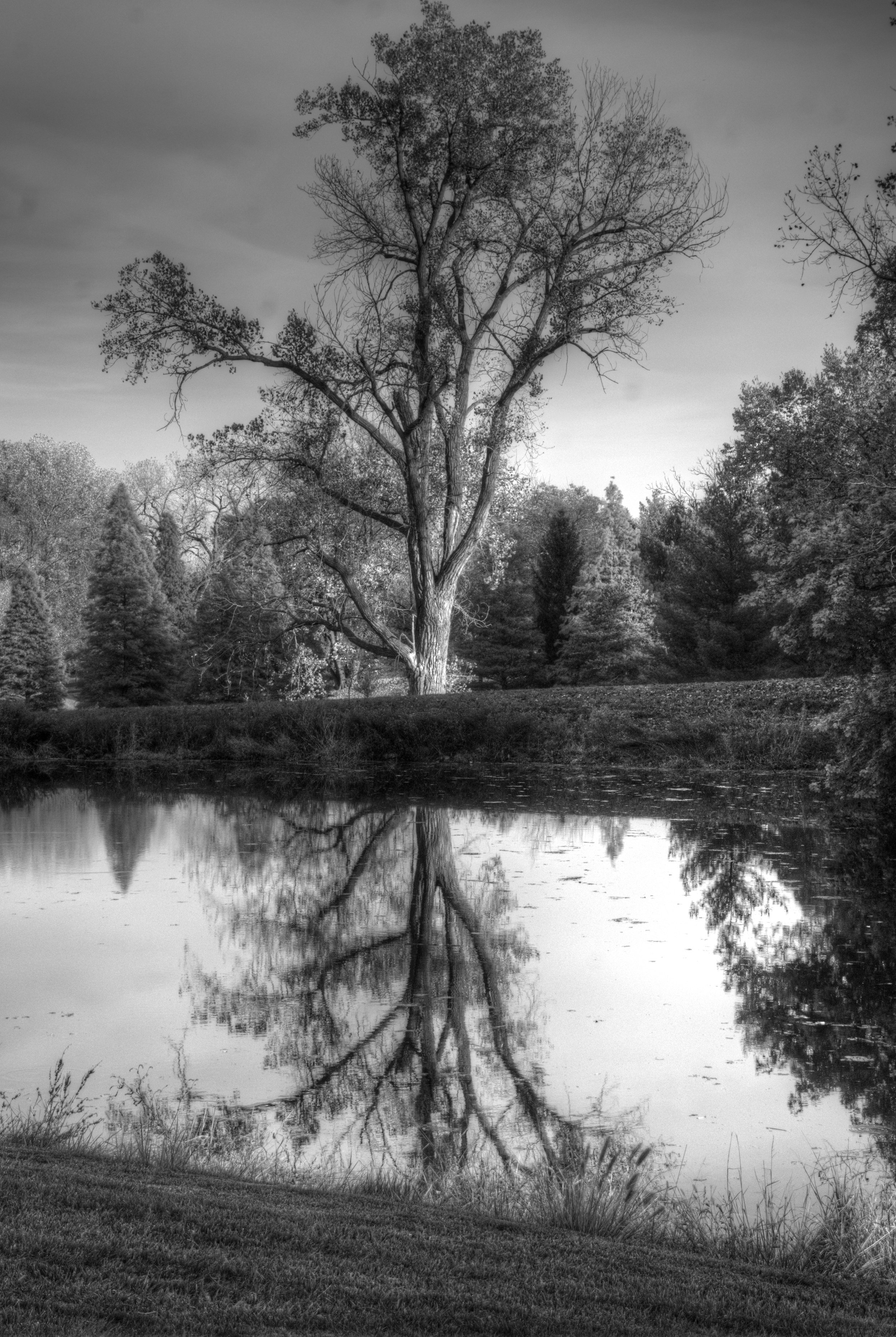 DSC00363_hdr_monochrome.jpg