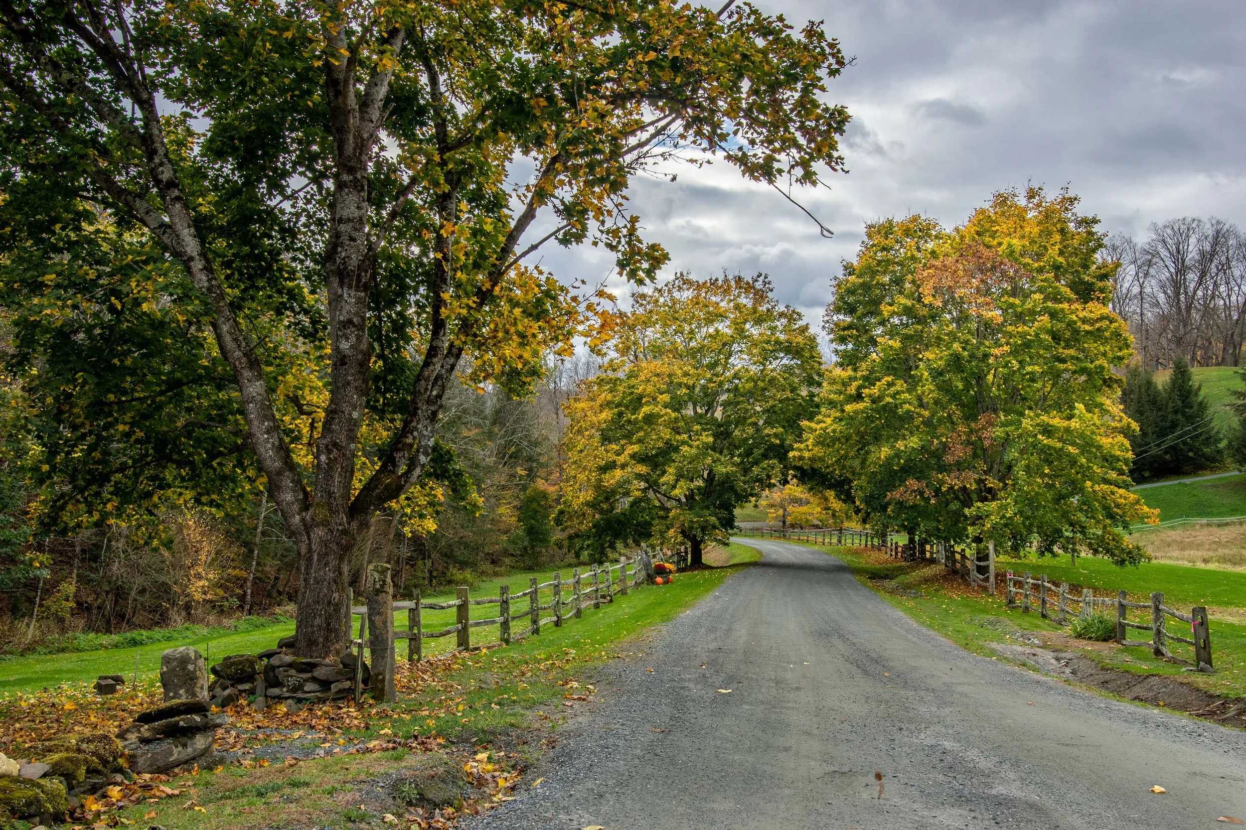 DSC09004-HDR.jpg