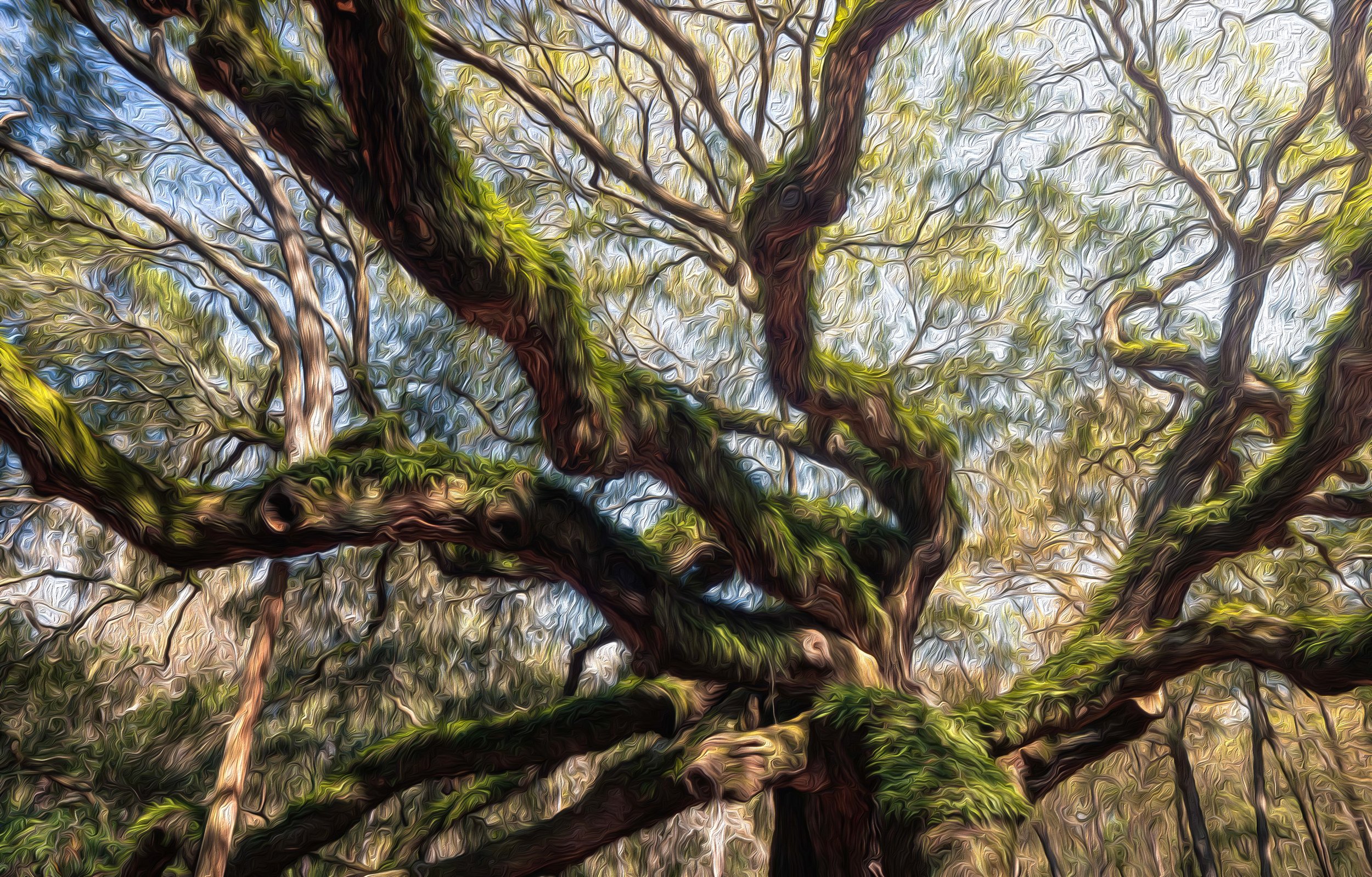angel tree oil paint effect.jpg