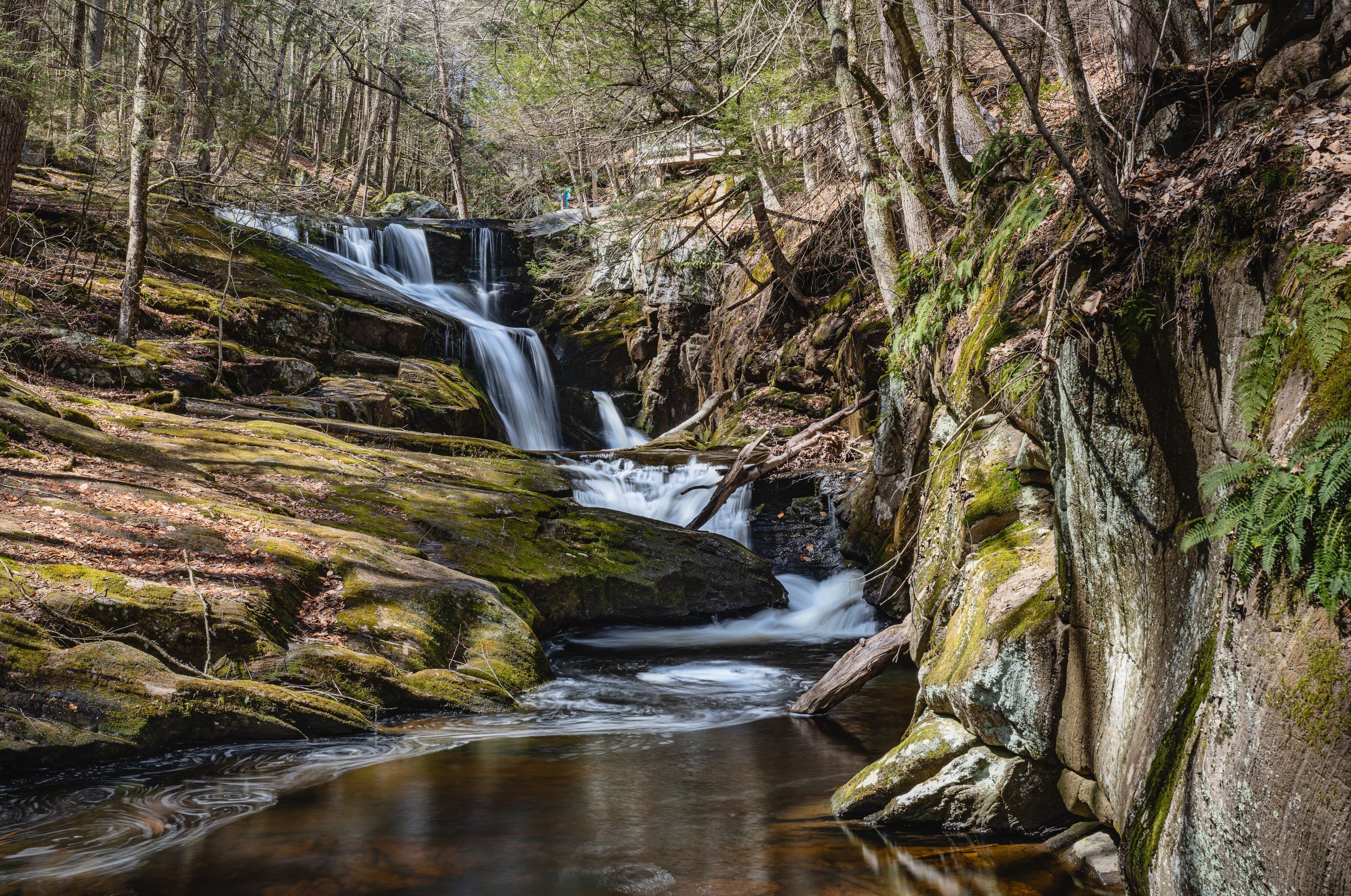 _DSC0147-Edit.jpg