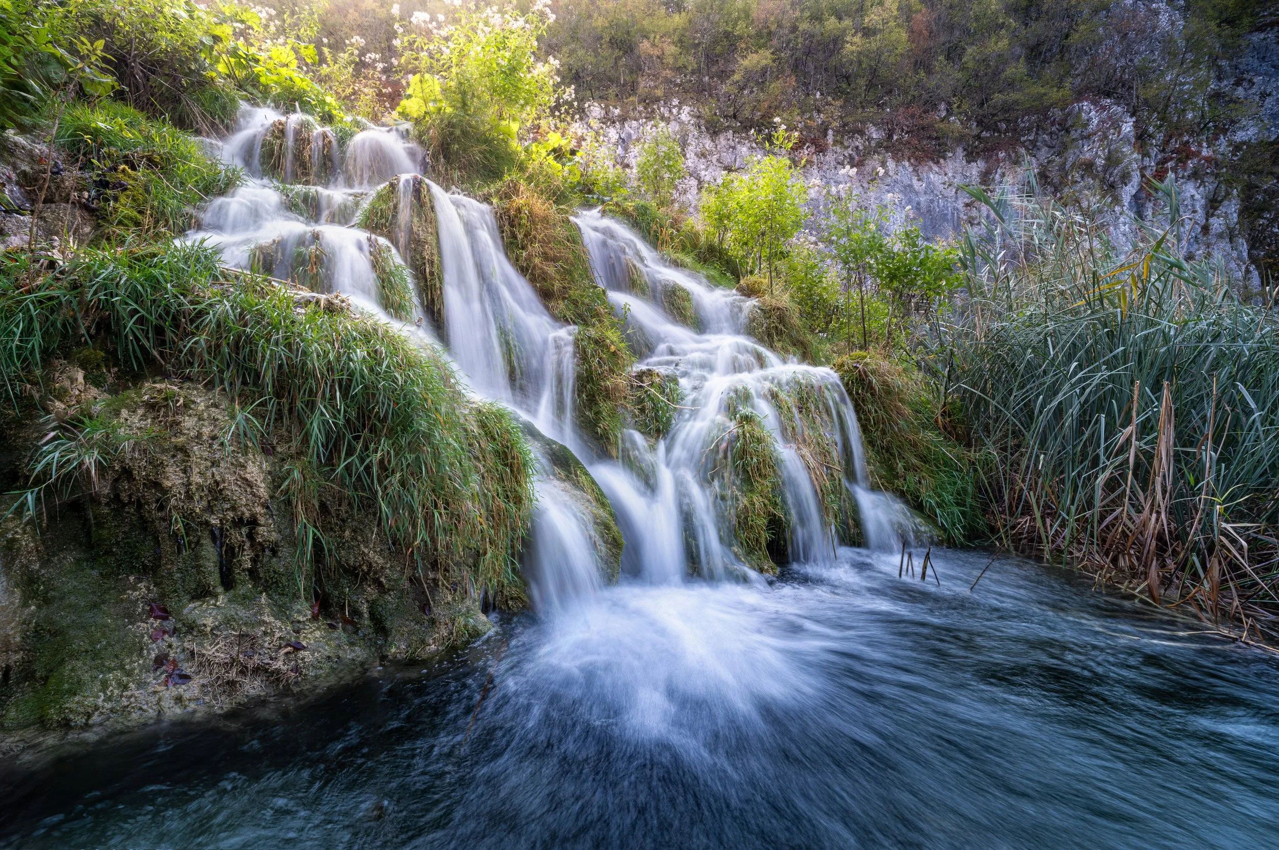 Looking Back at 2025: Exhibits, Awards, and More