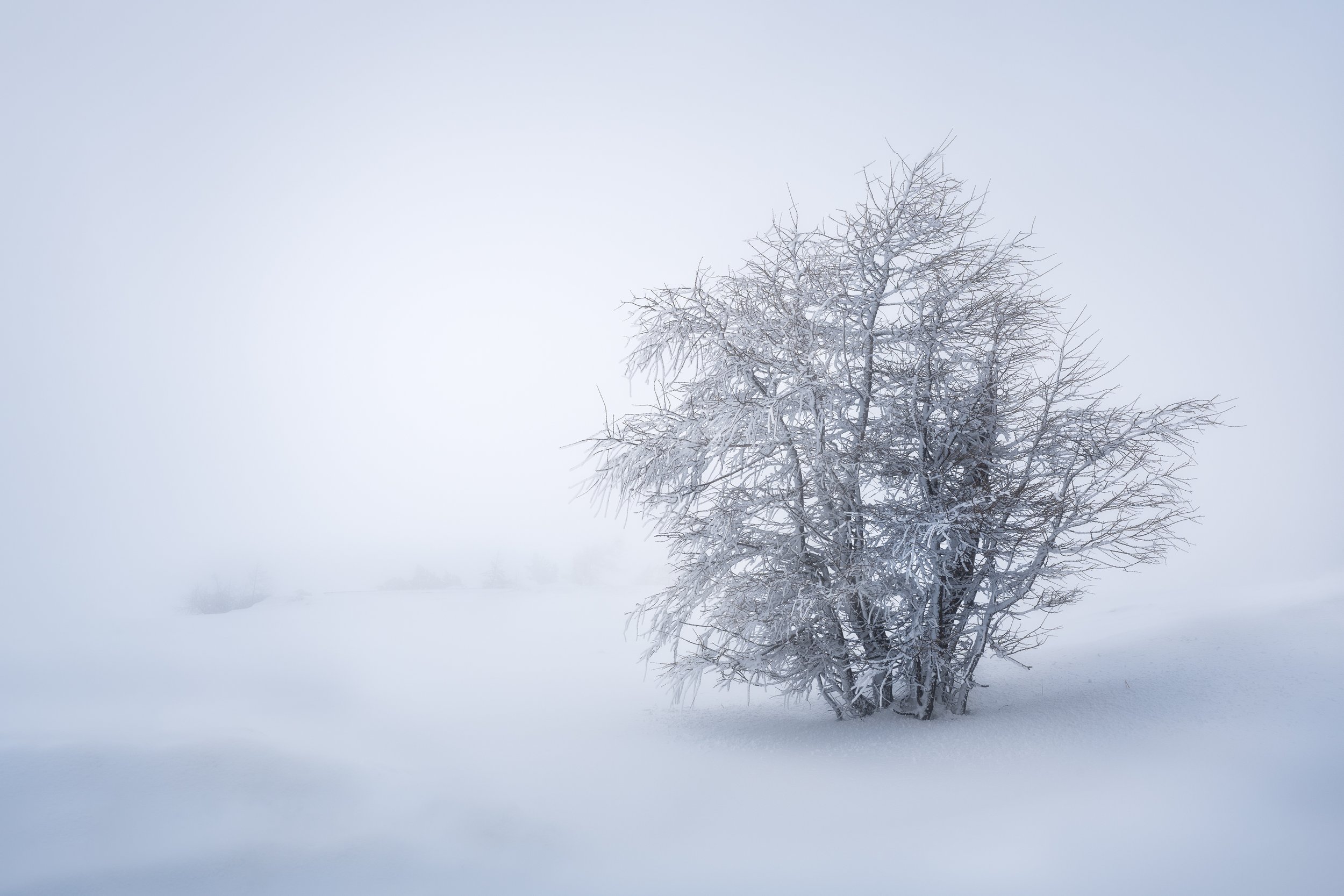 Frozen Breath