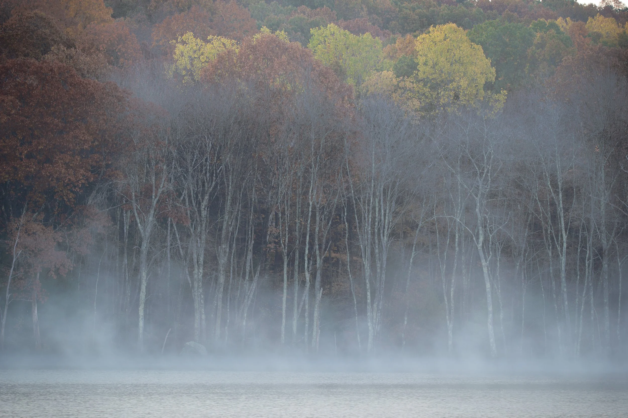Mists over Clamshell Pond