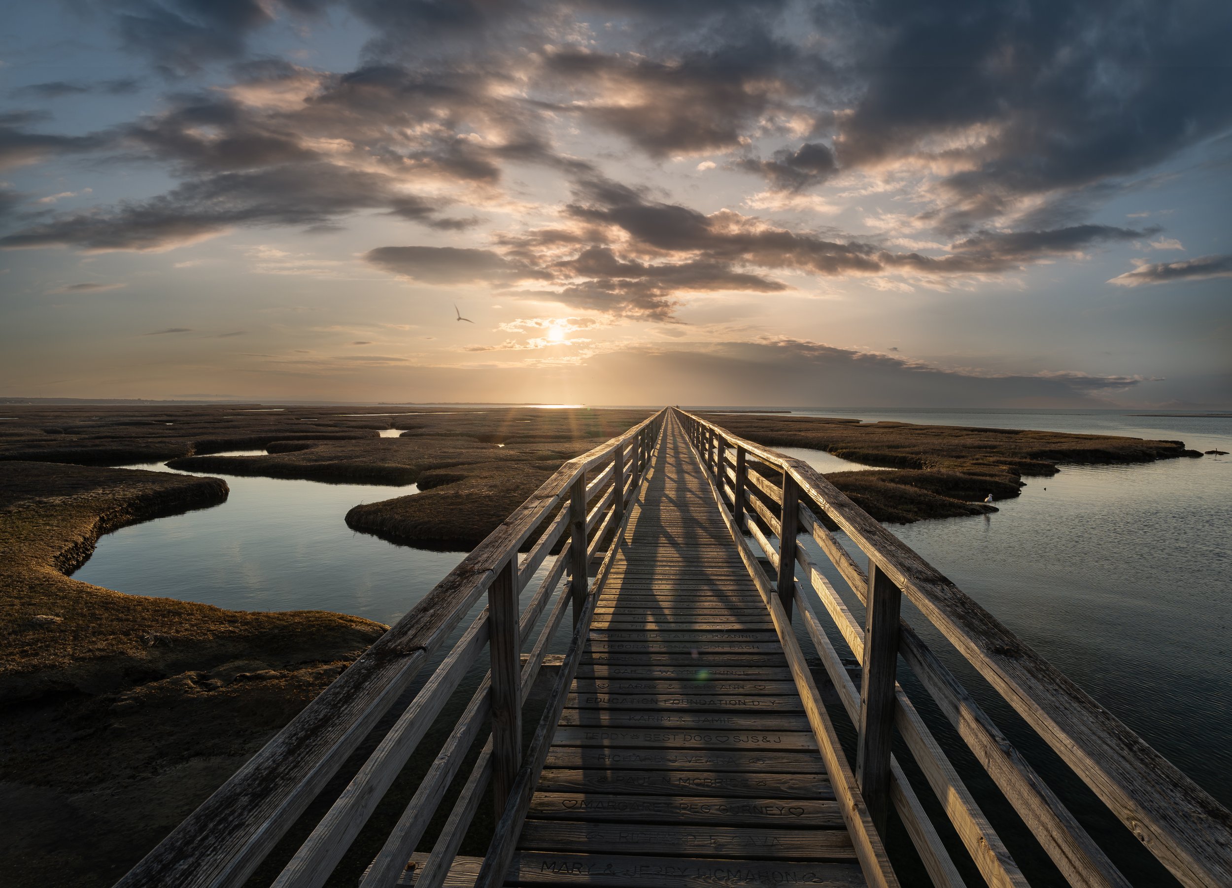 Toward the Horizon