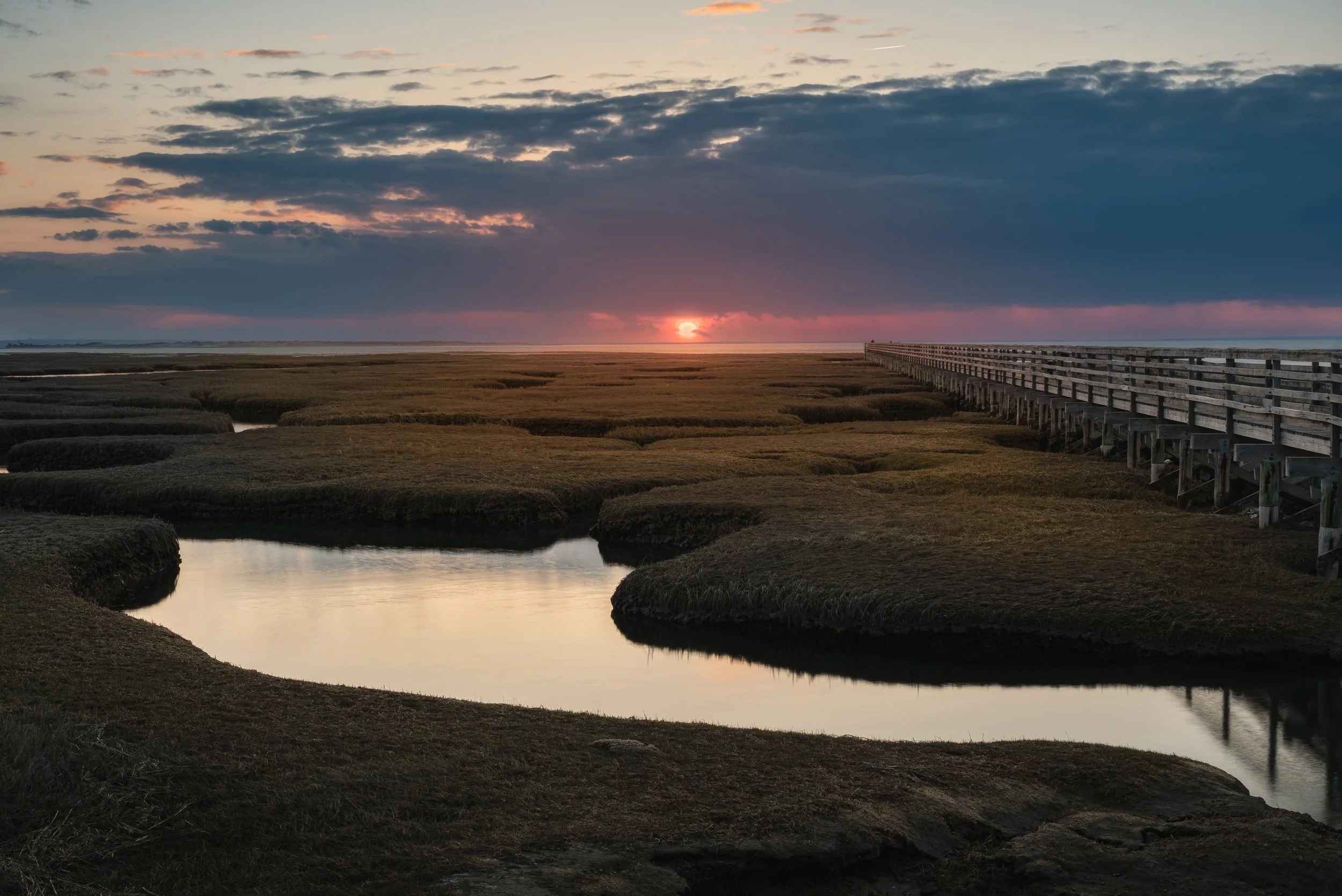 Last Light on the Marsh