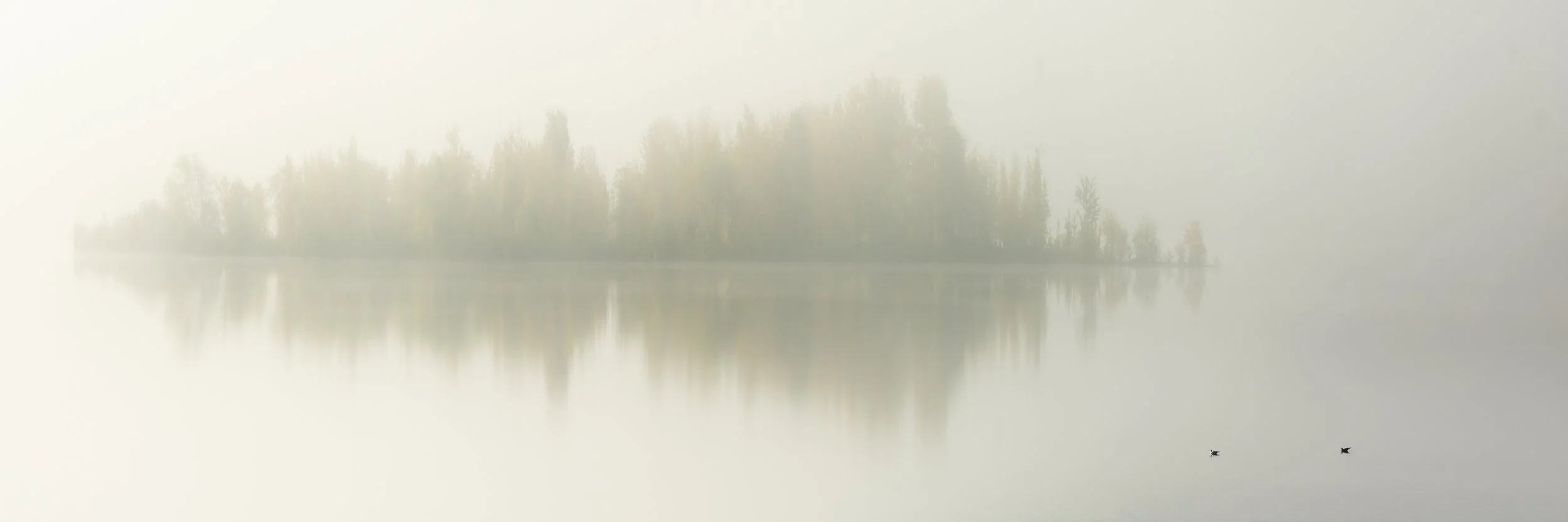 Solitude