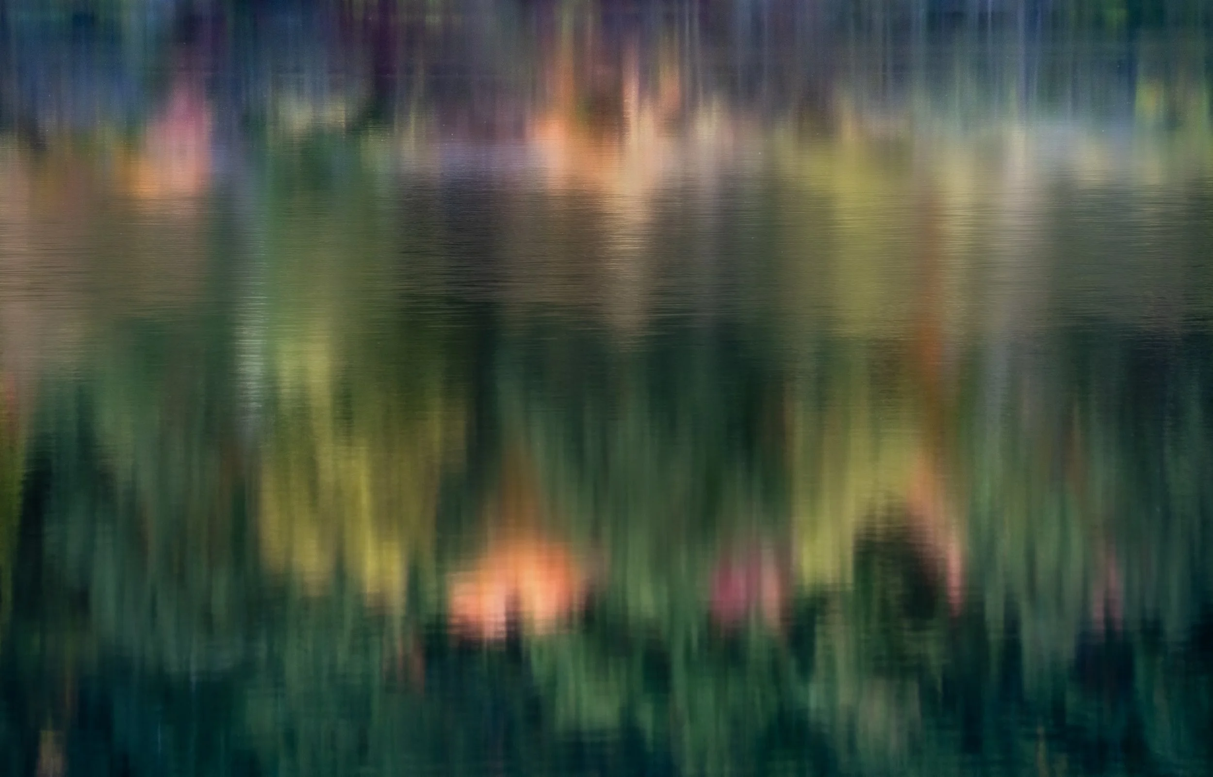 Forest in Water.jpg