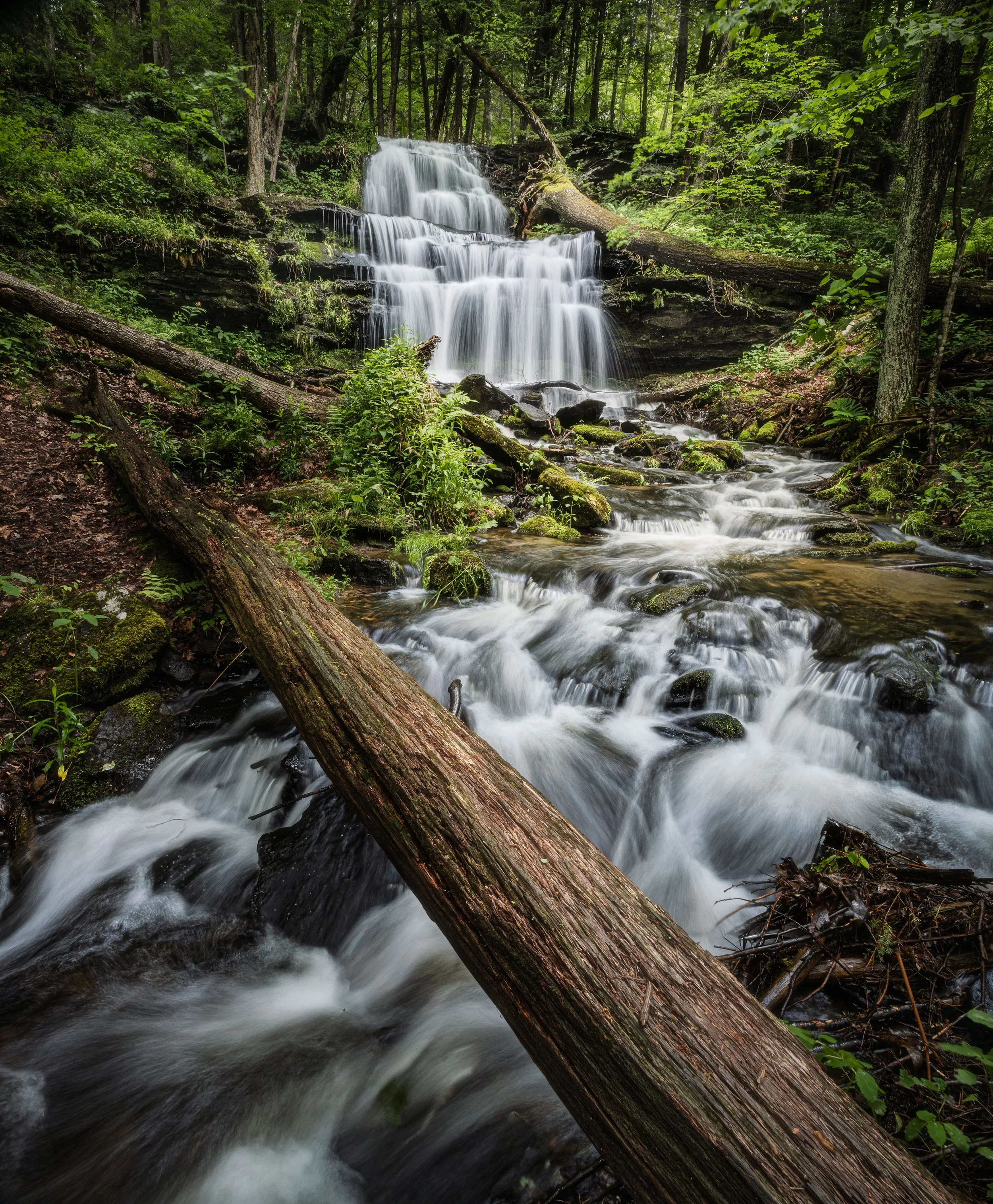 Gunn Brook Falls 1