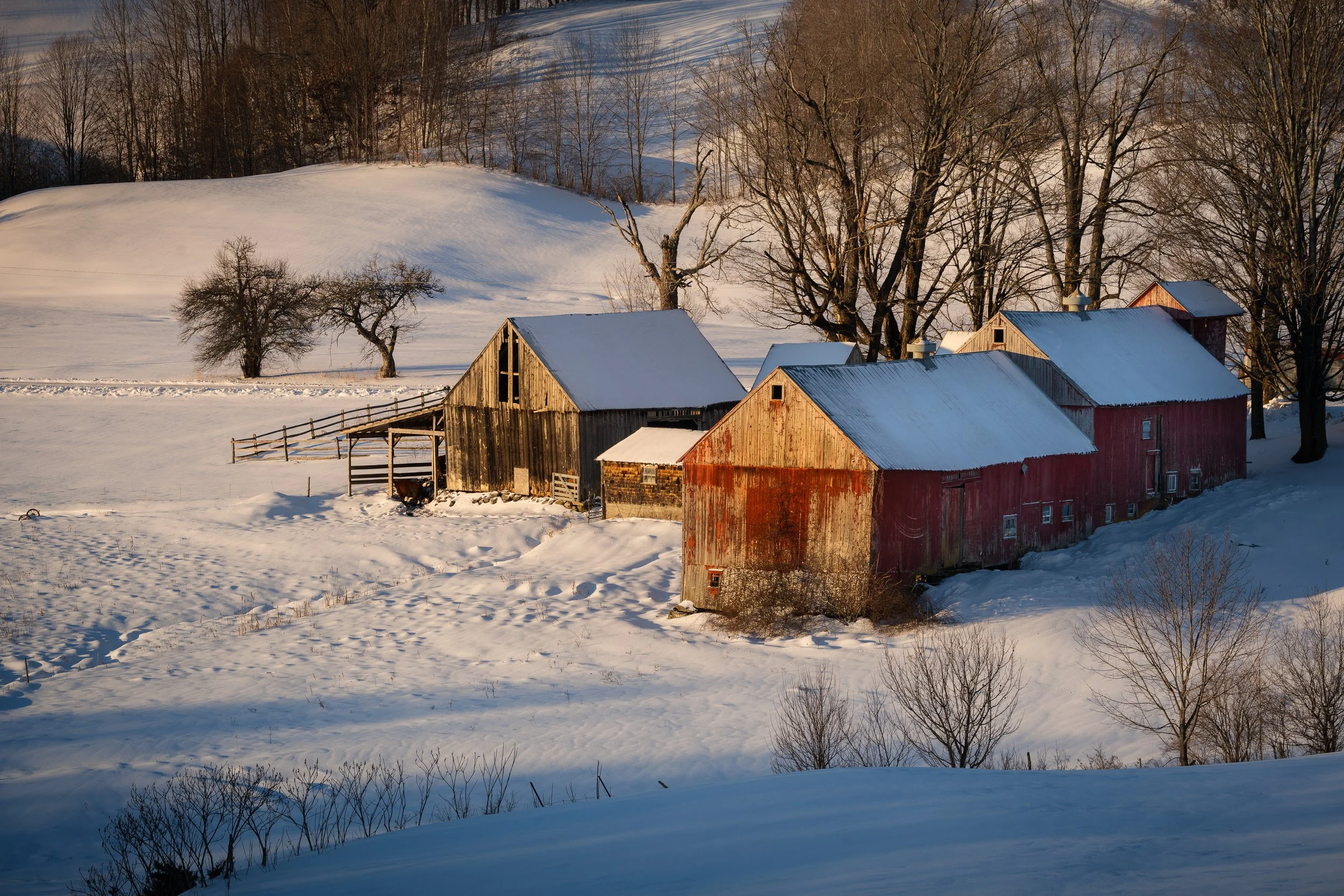 Winter at Jenne Farm